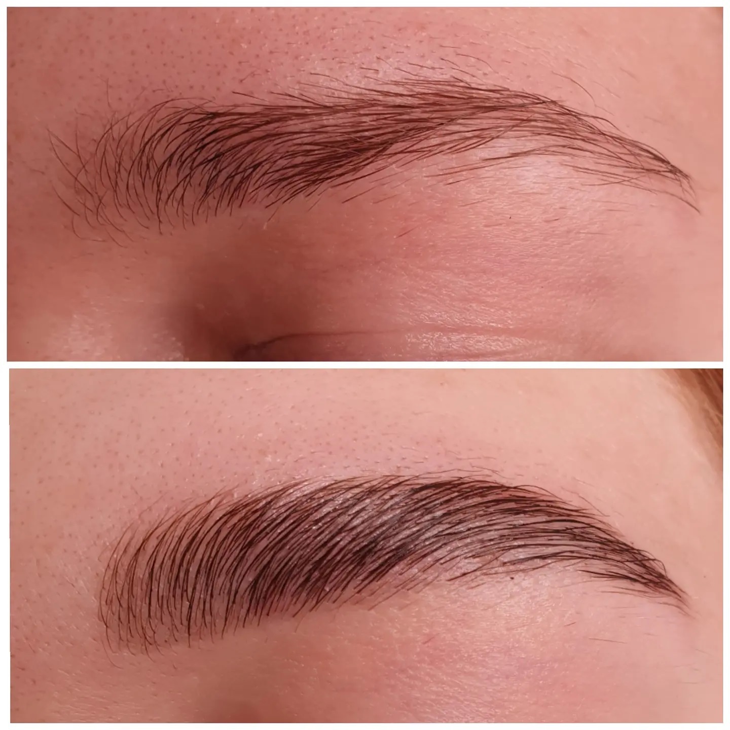 Brows & Lashes image
