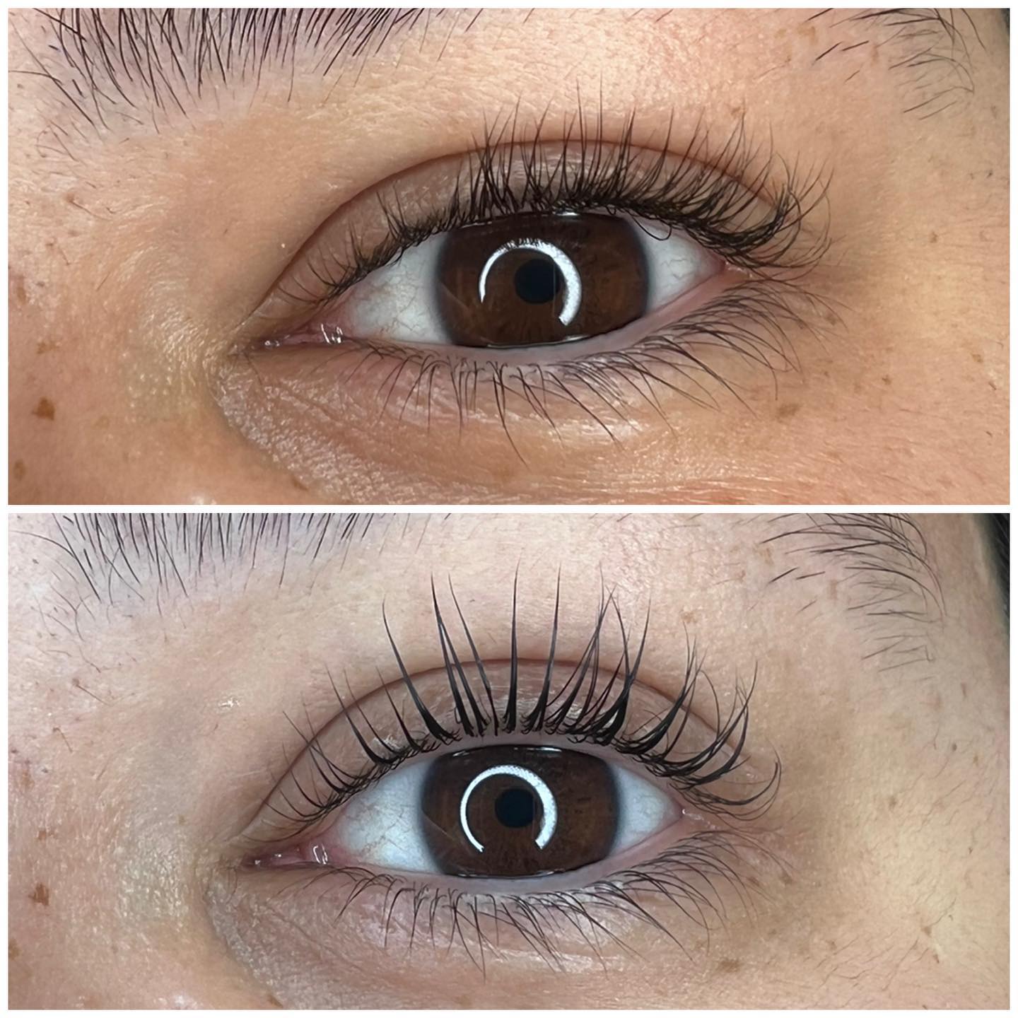 Brows & Lashes image