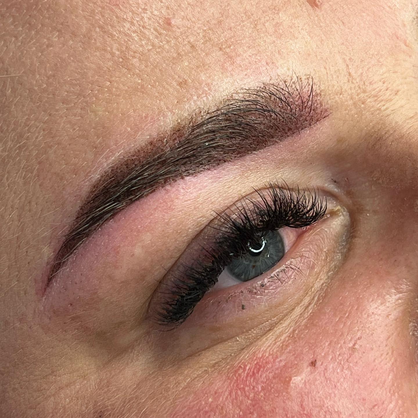 Brows & Lashes image