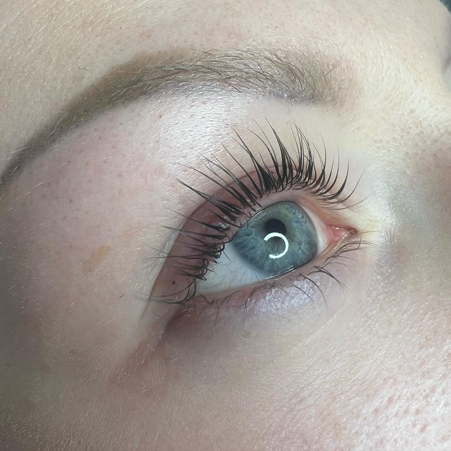 Brows & Lashes image