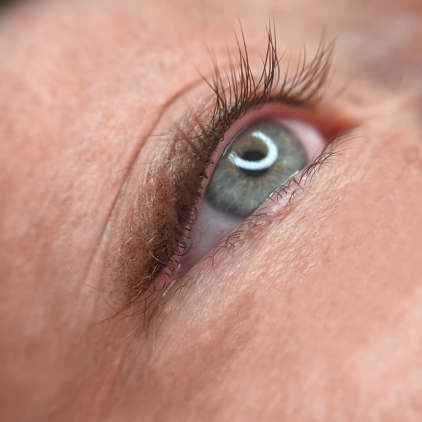 Brows & Lashes image