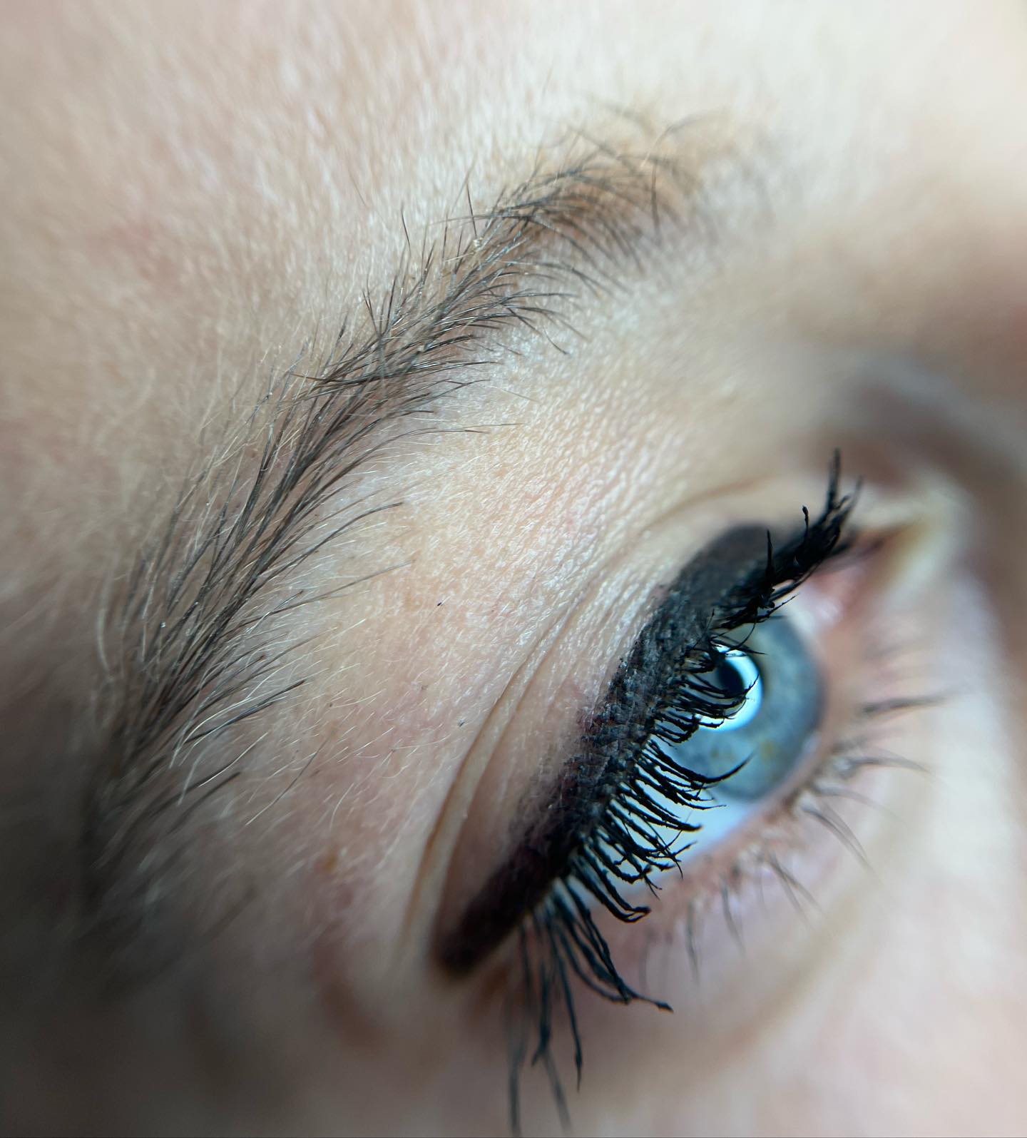 Brows & Lashes image