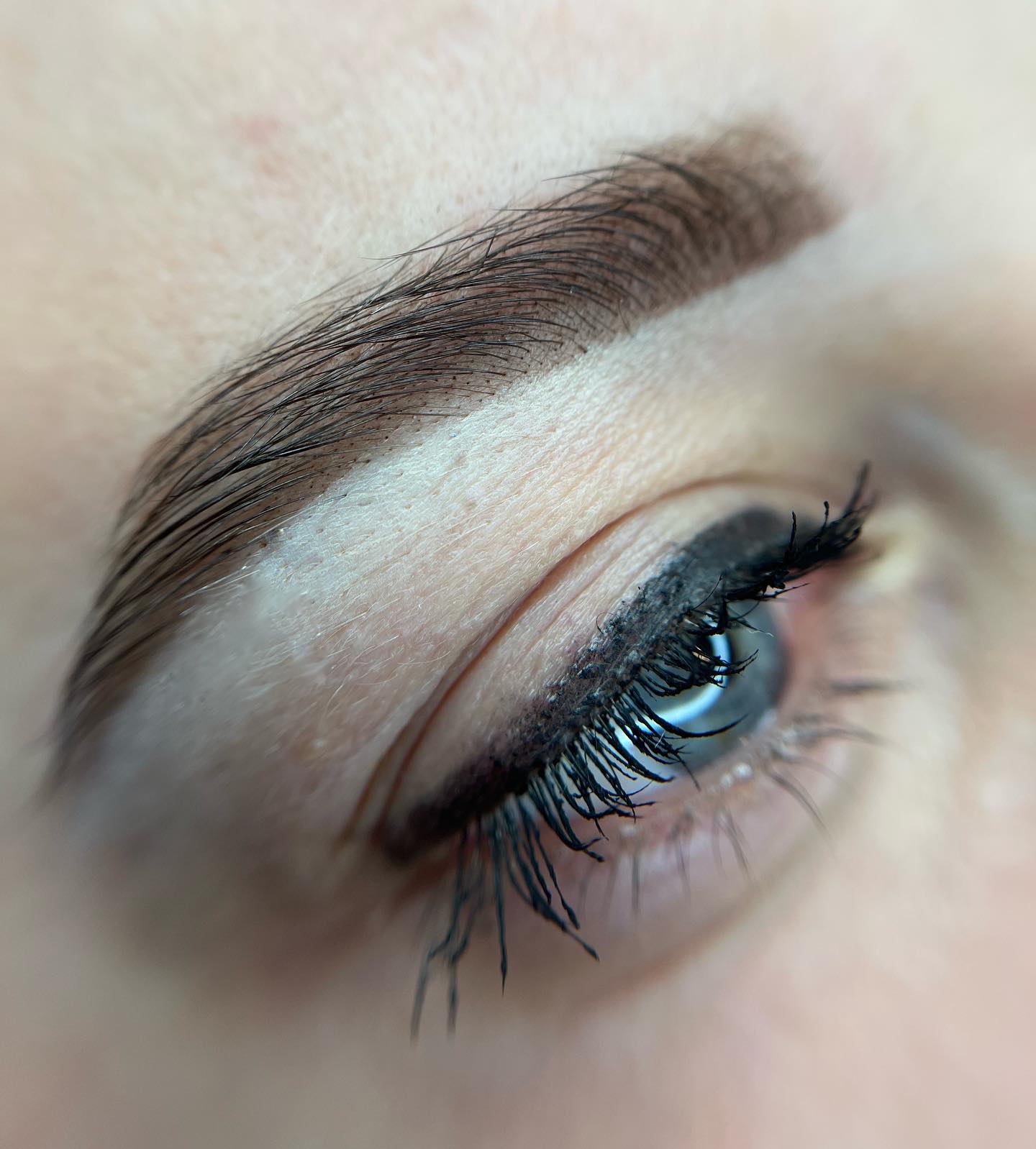 Brows & Lashes image
