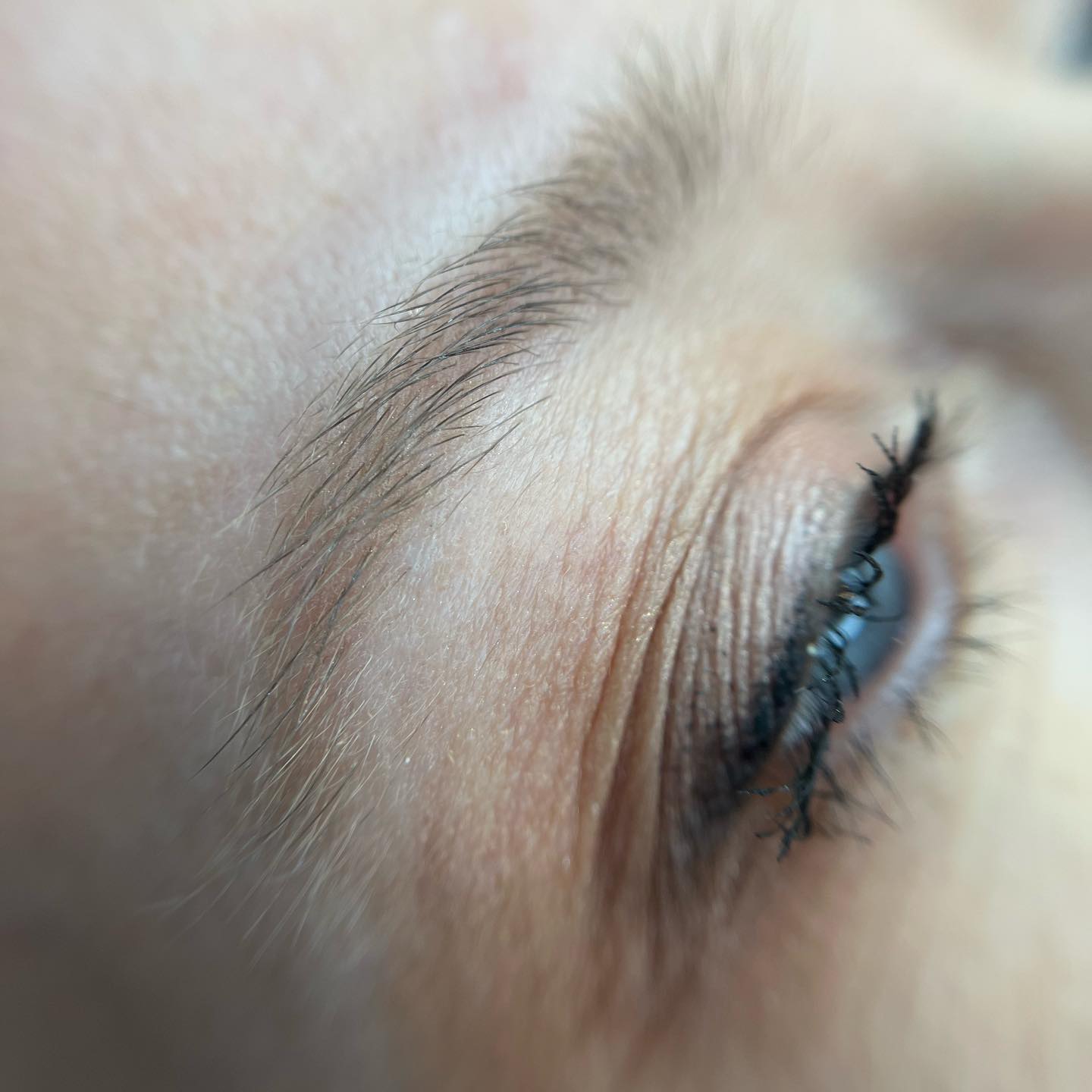 Brows & Lashes image