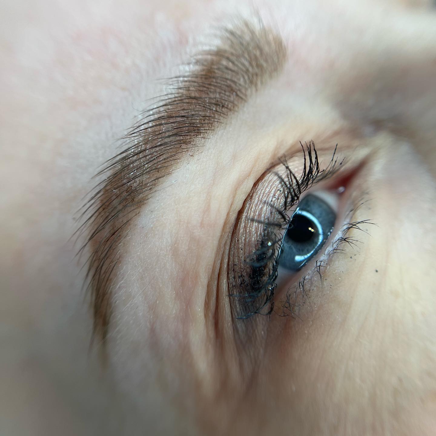 Brows & Lashes image