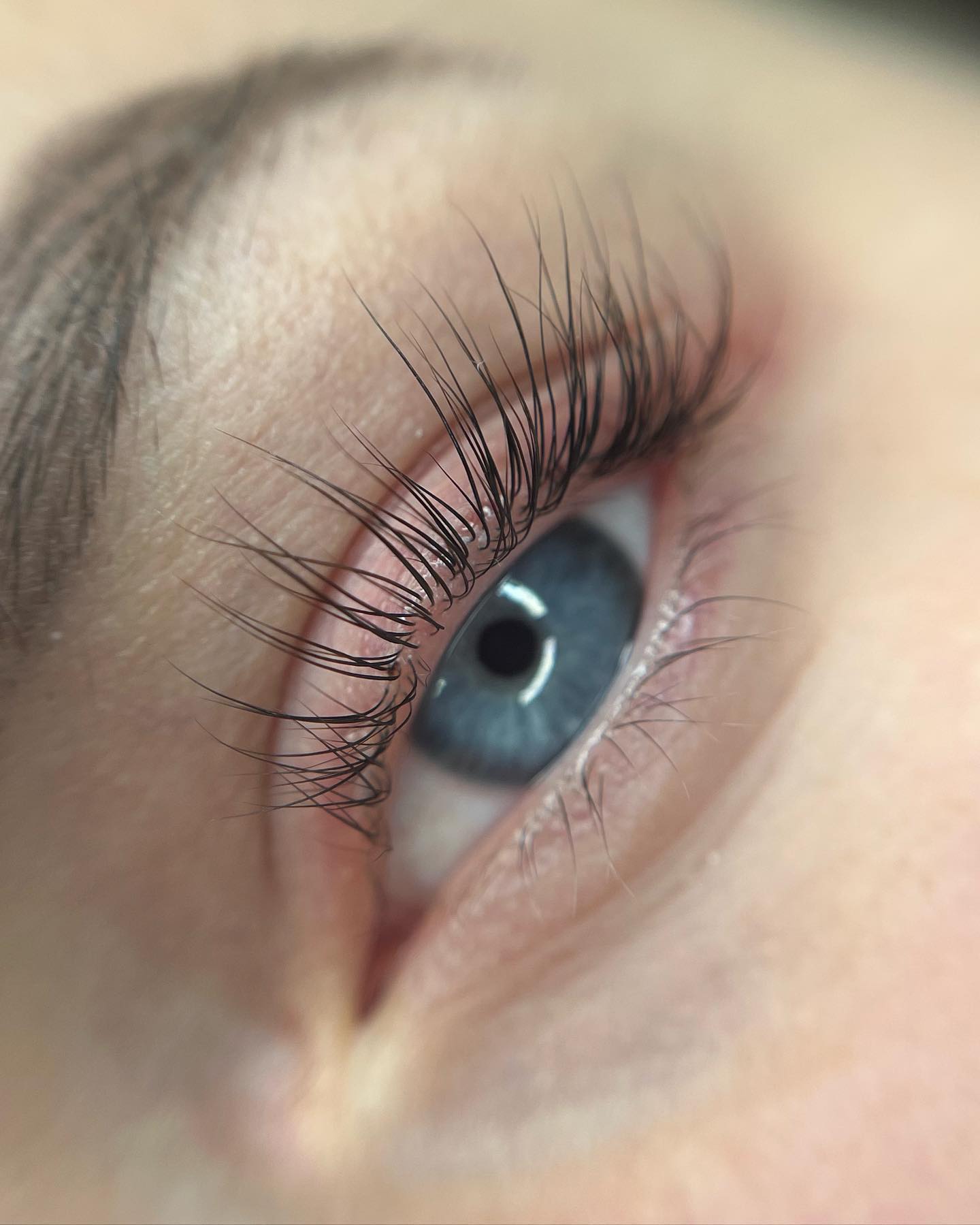 Brows & Lashes image