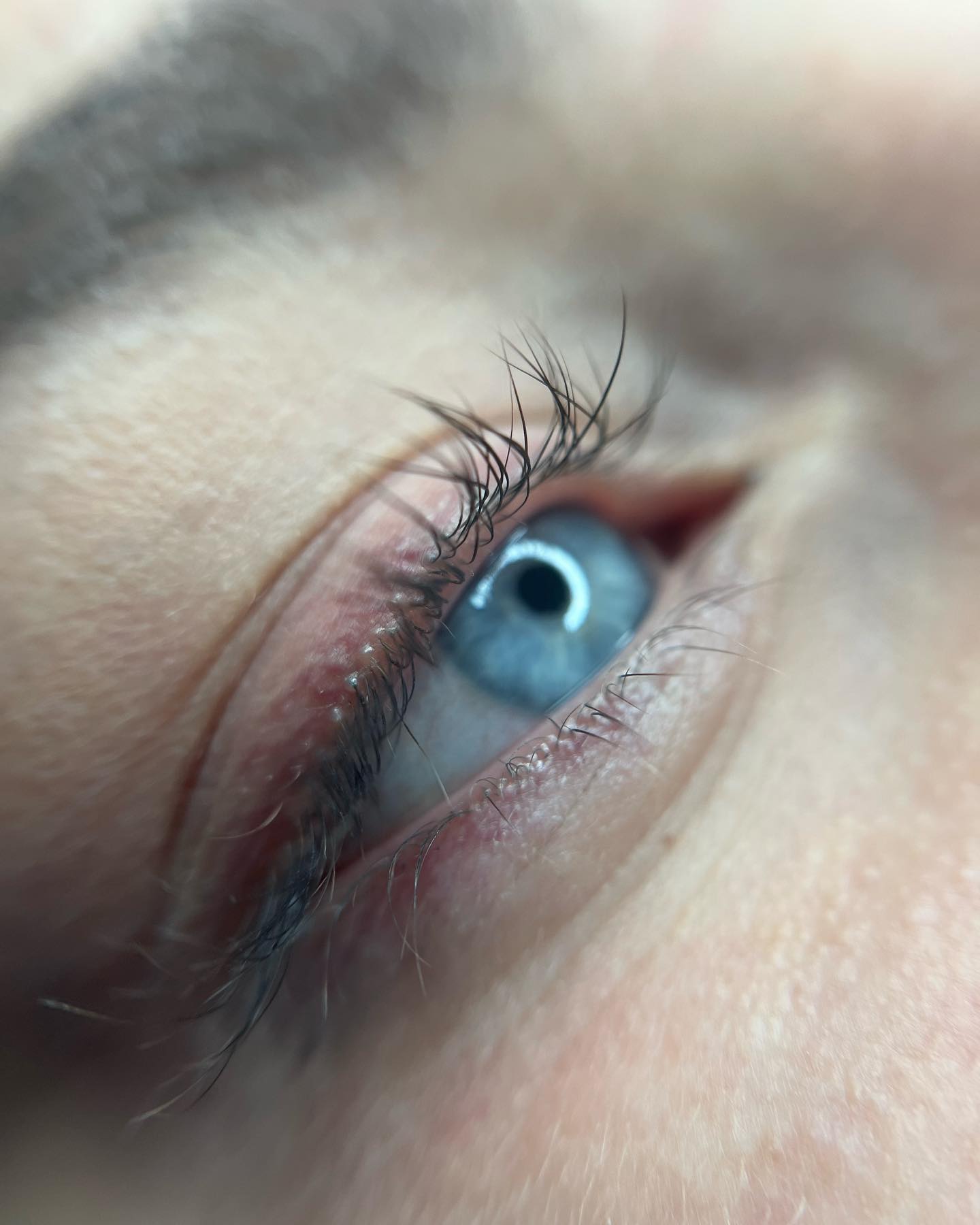 Brows & Lashes image