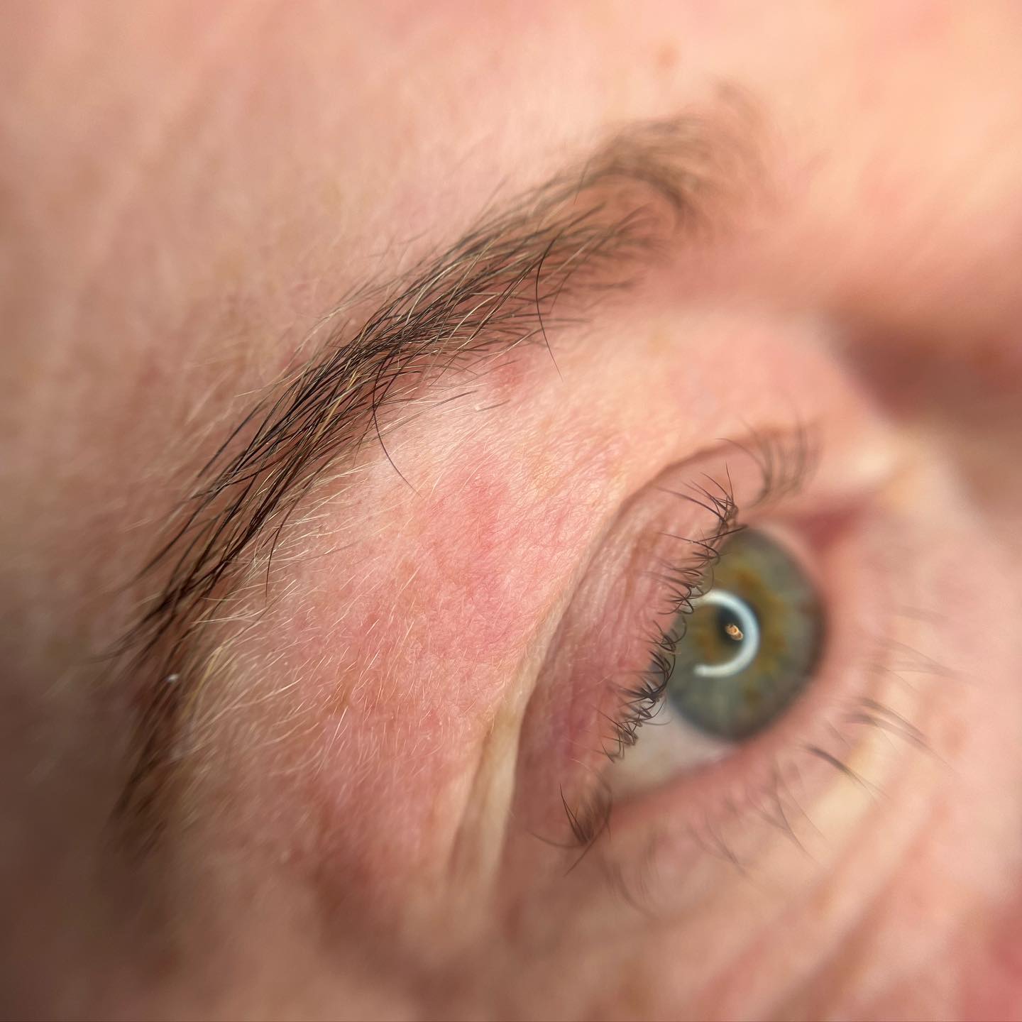 Brows & Lashes image