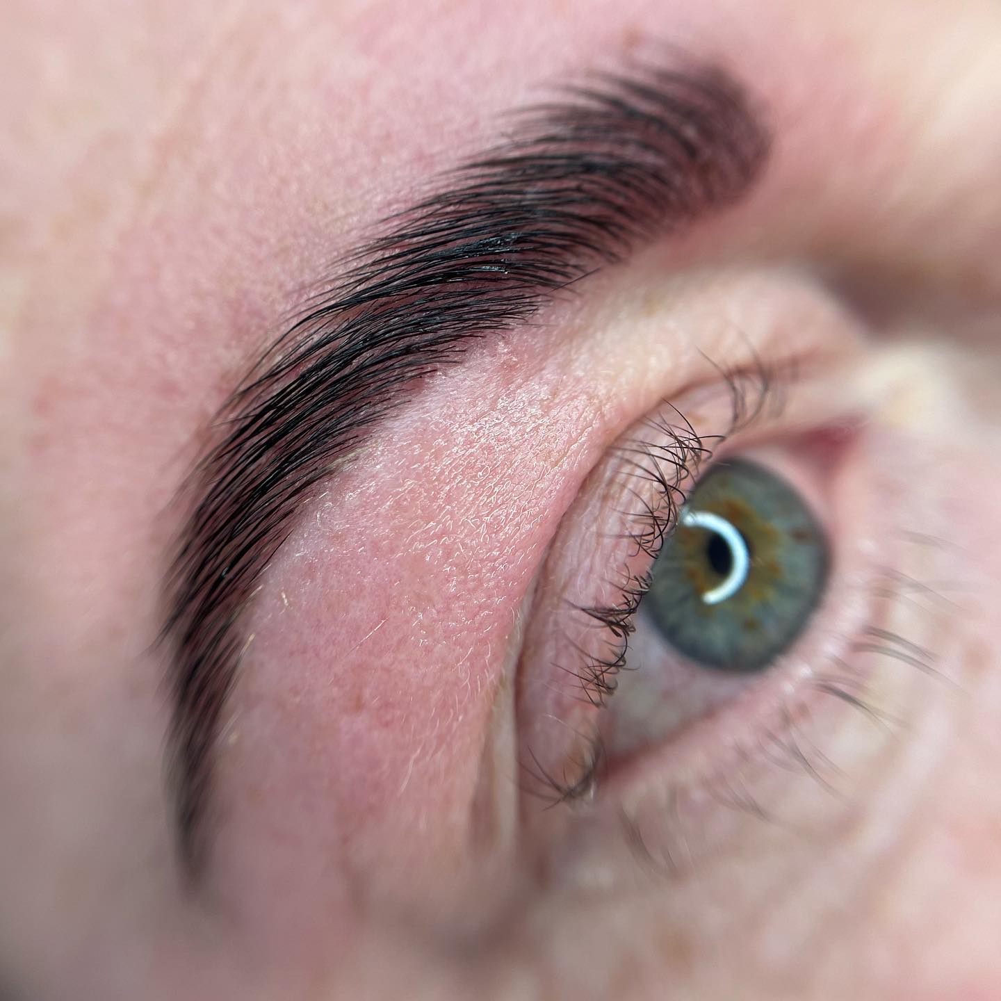 Brows & Lashes image