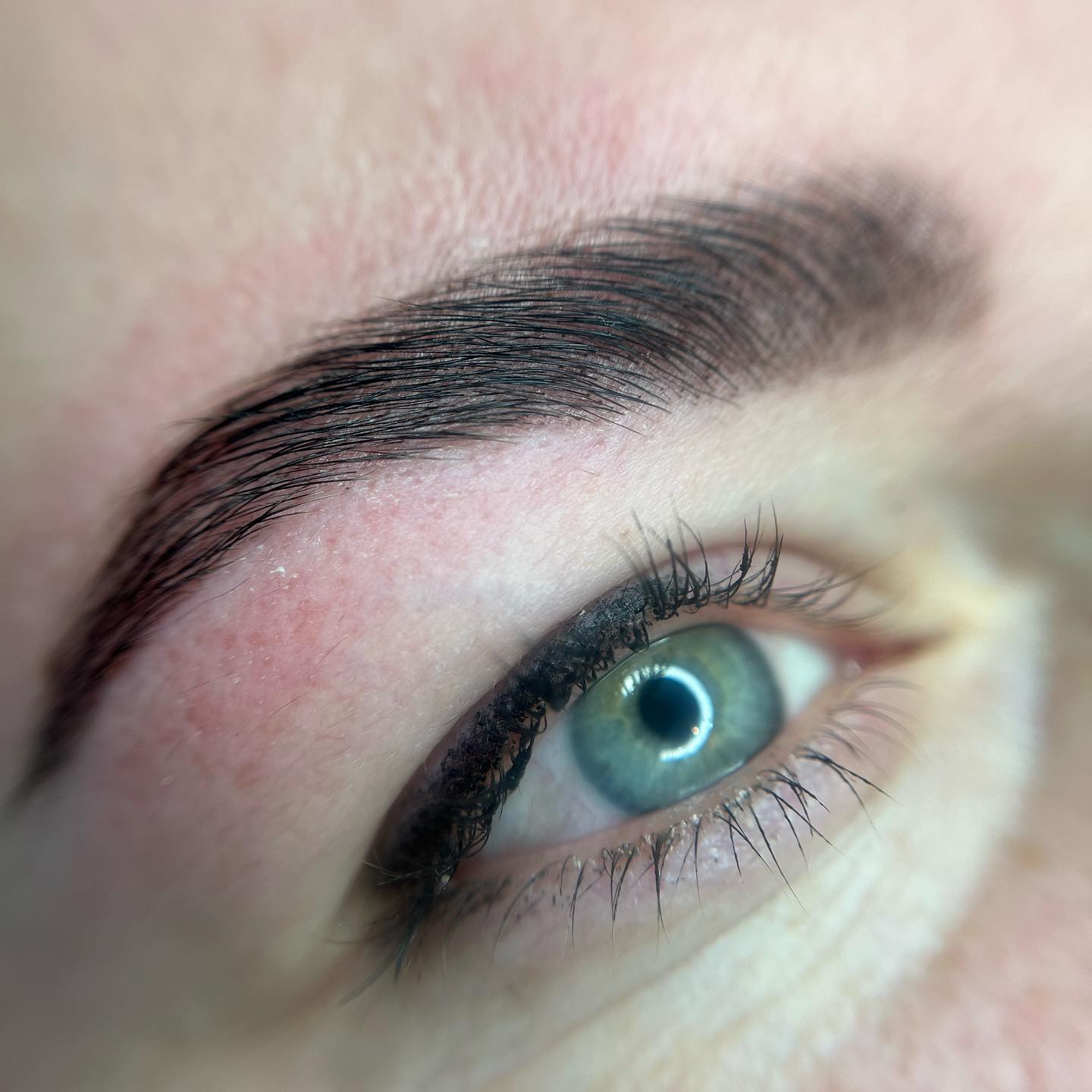 Brows & Lashes image