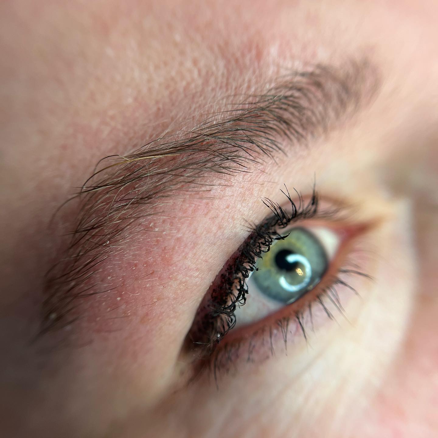 Brows & Lashes image