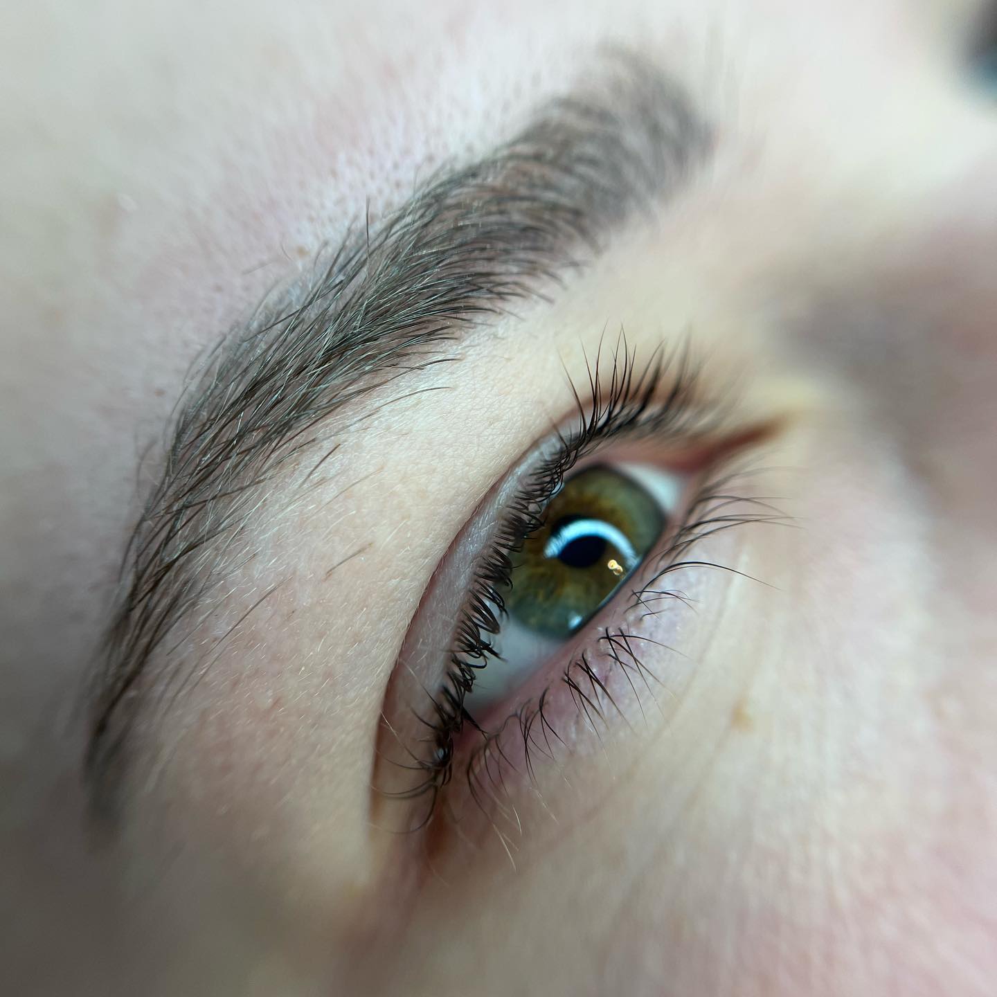 Brows & Lashes image