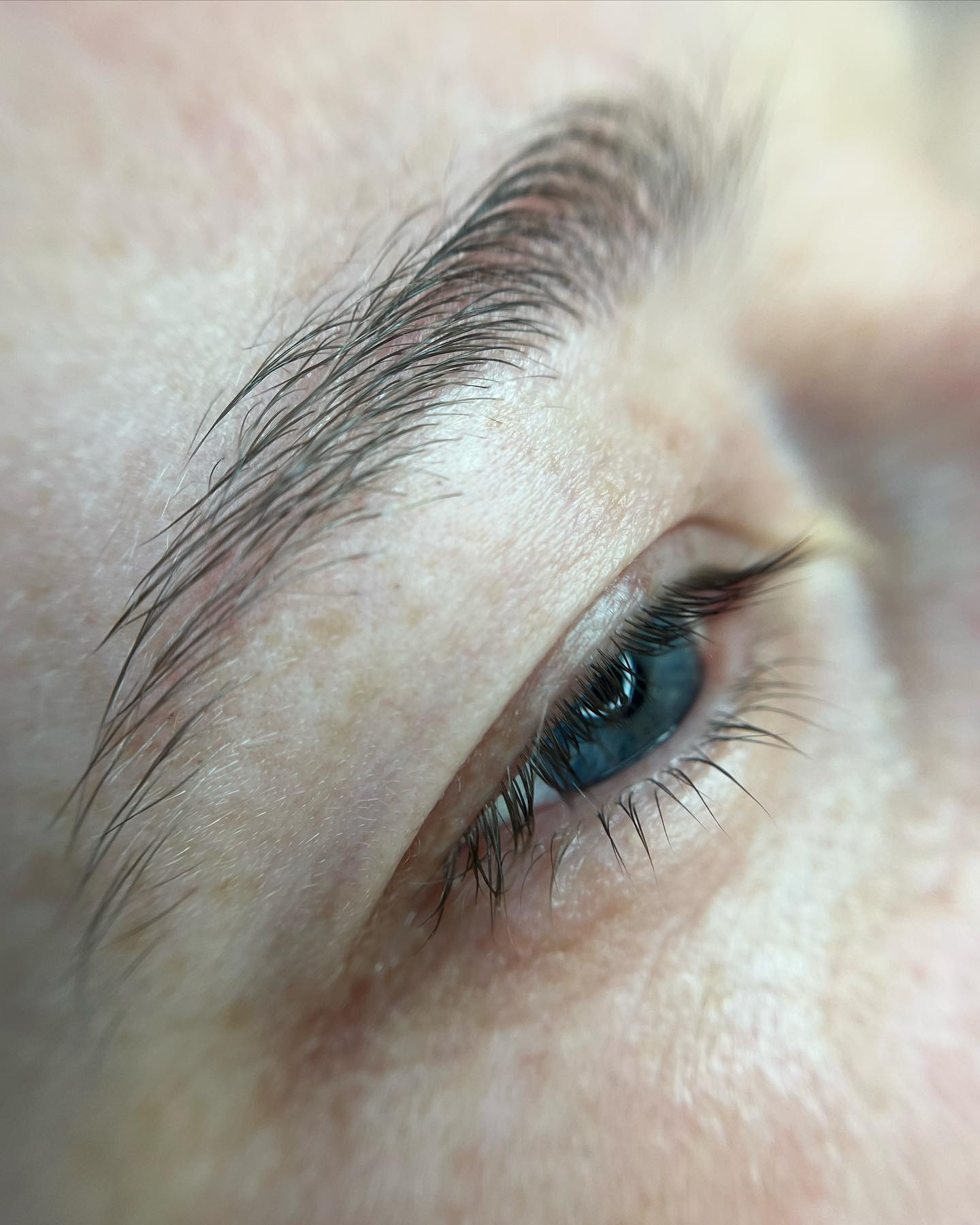 Brows & Lashes image