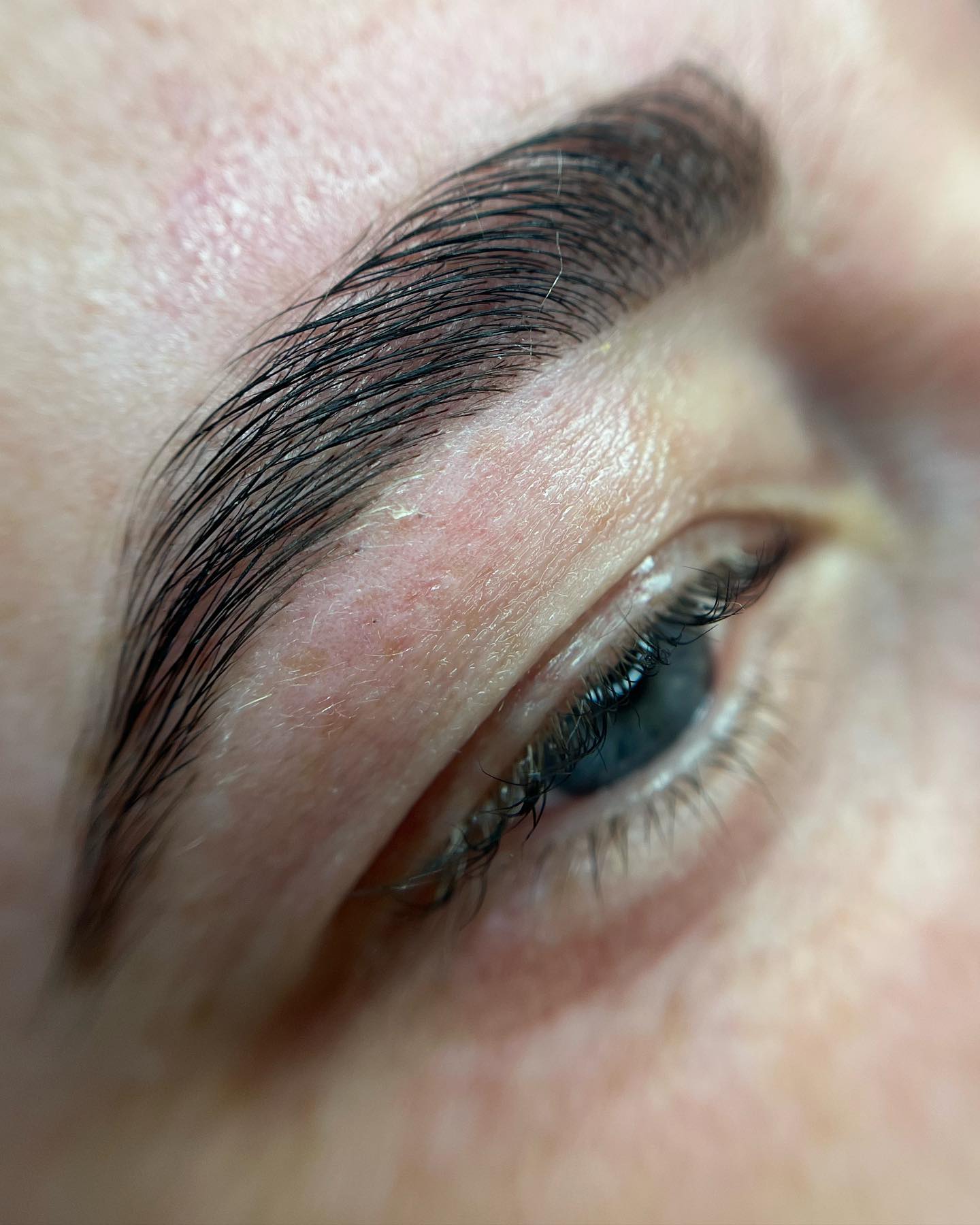 Brows & Lashes image