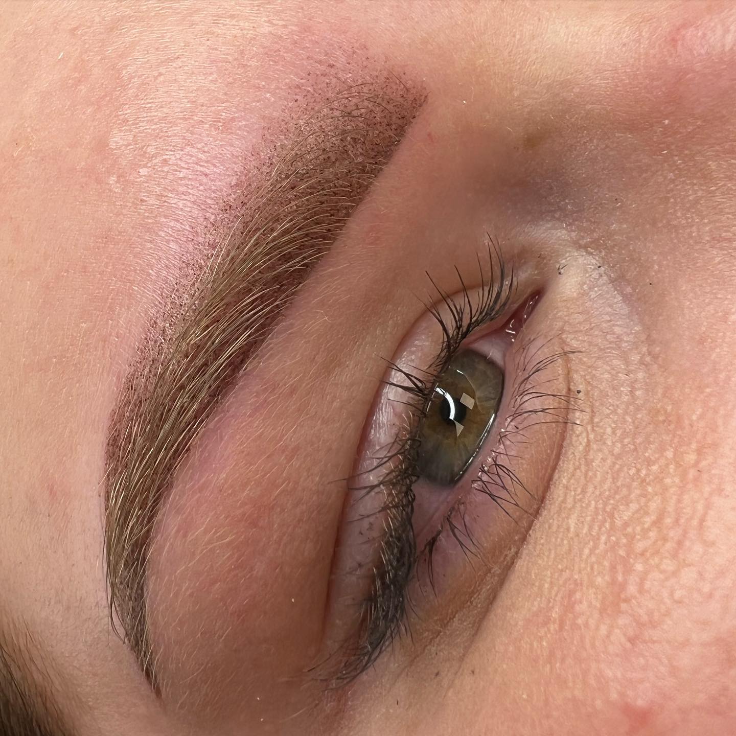 Brows & Lashes image