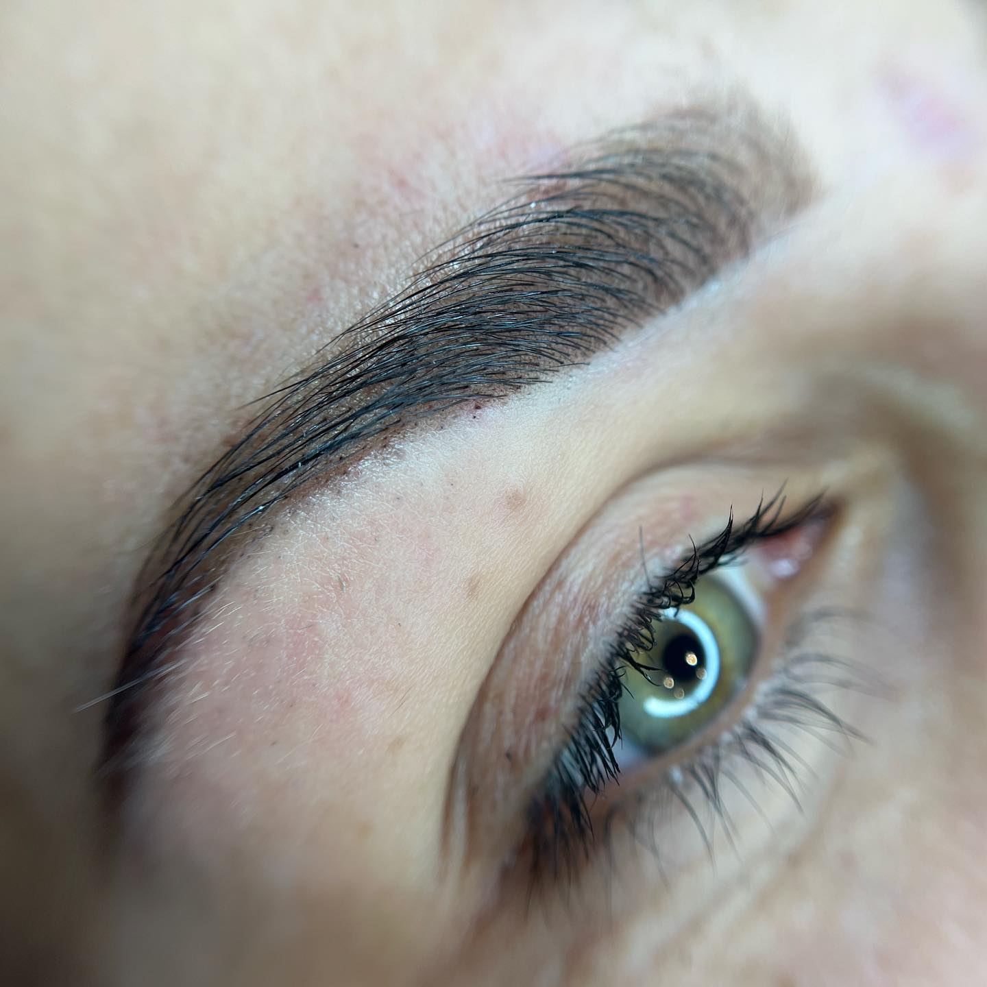 Brows & Lashes image