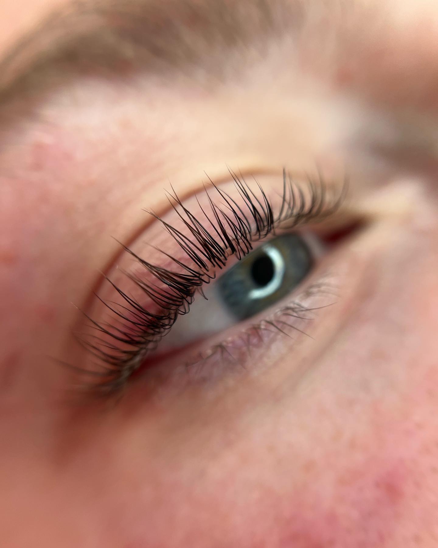 Brows & Lashes image