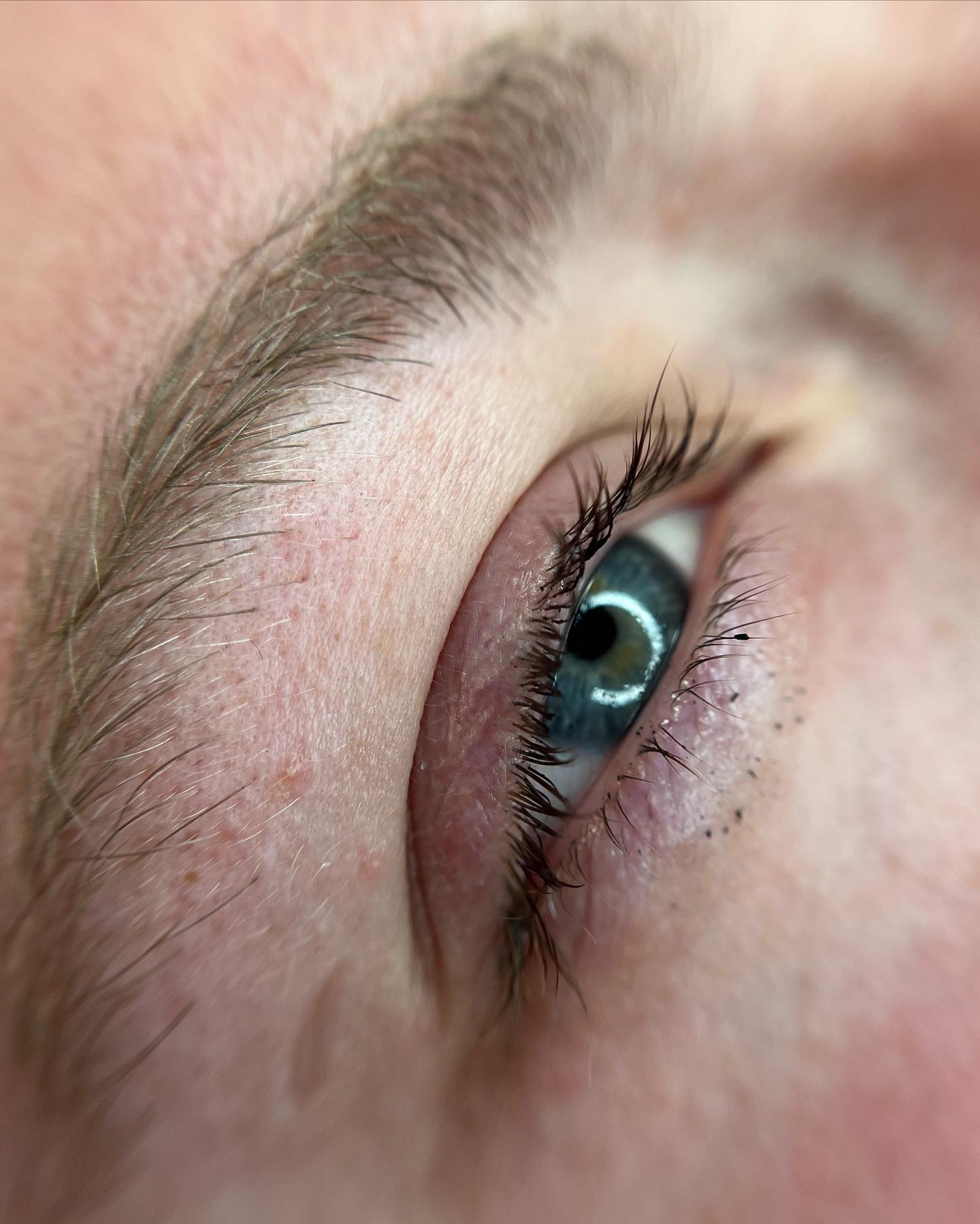 Brows & Lashes image