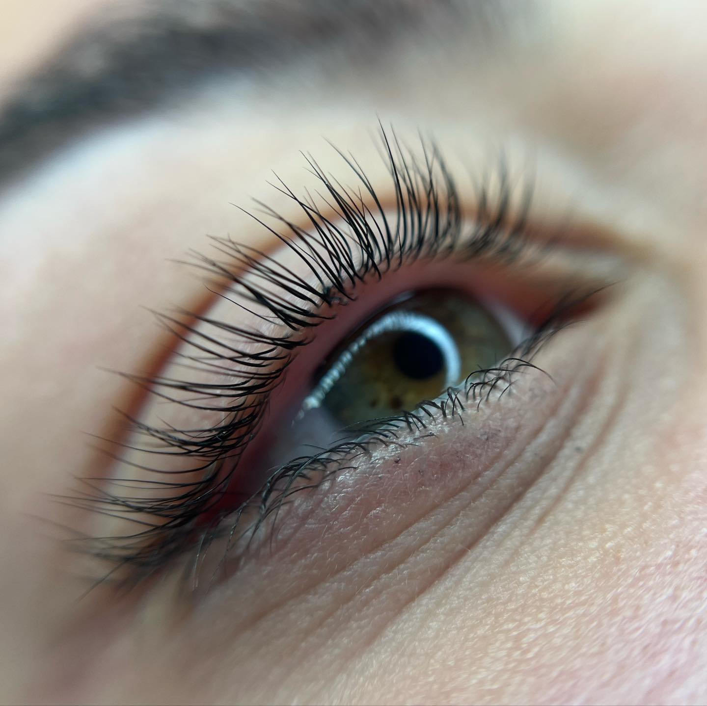 Brows & Lashes image