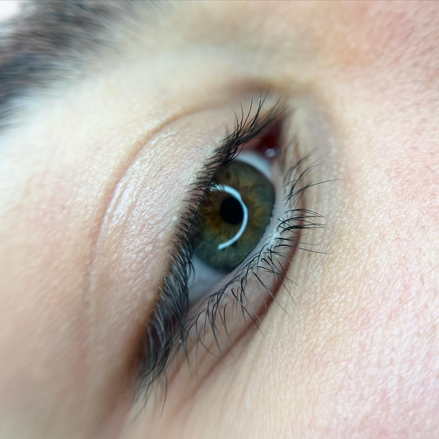 Brows & Lashes image