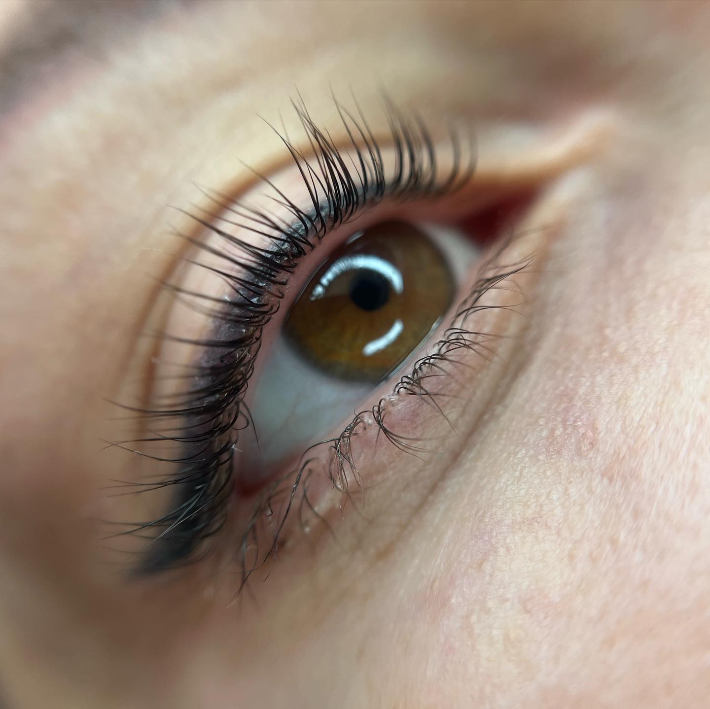 Brows & Lashes image