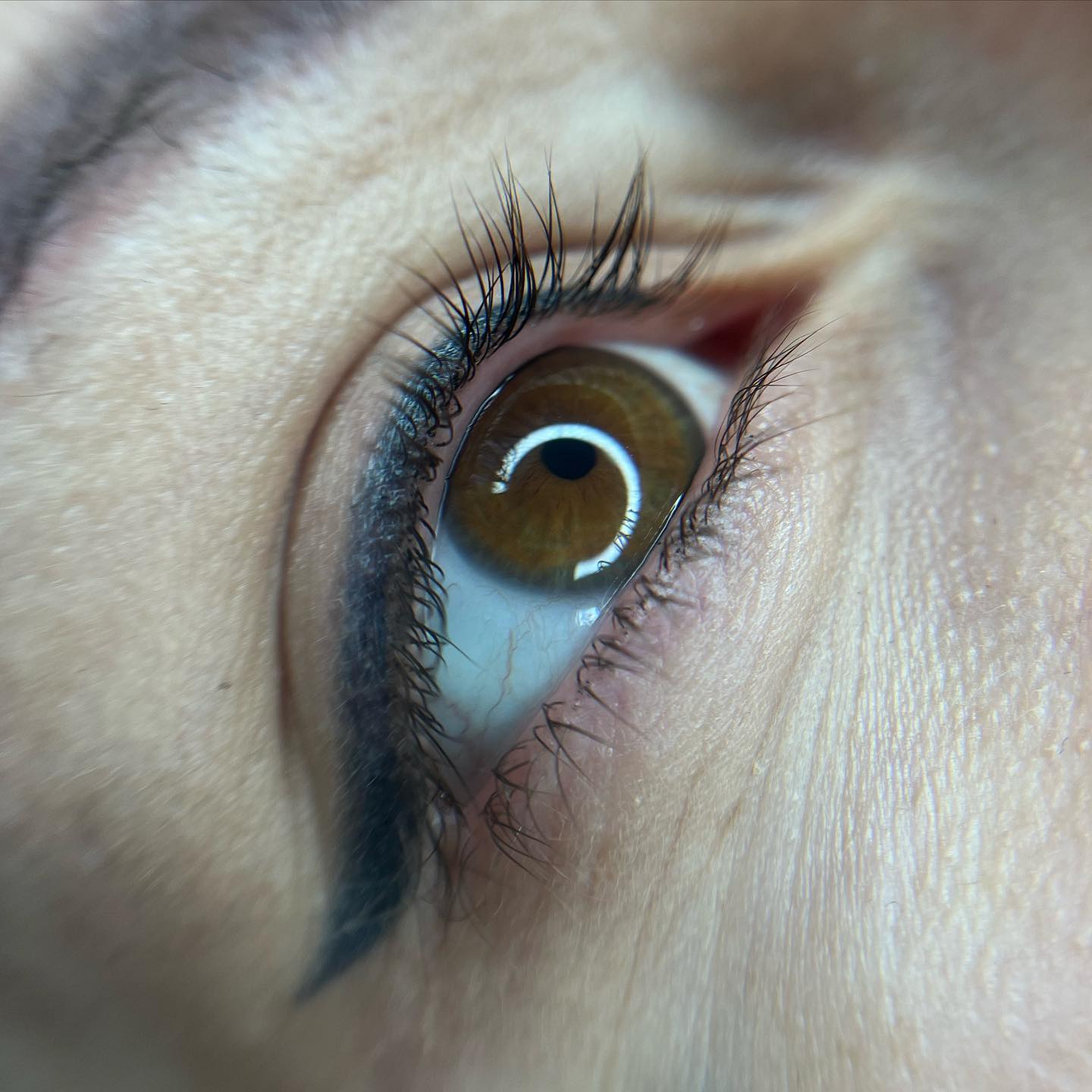 Brows & Lashes image