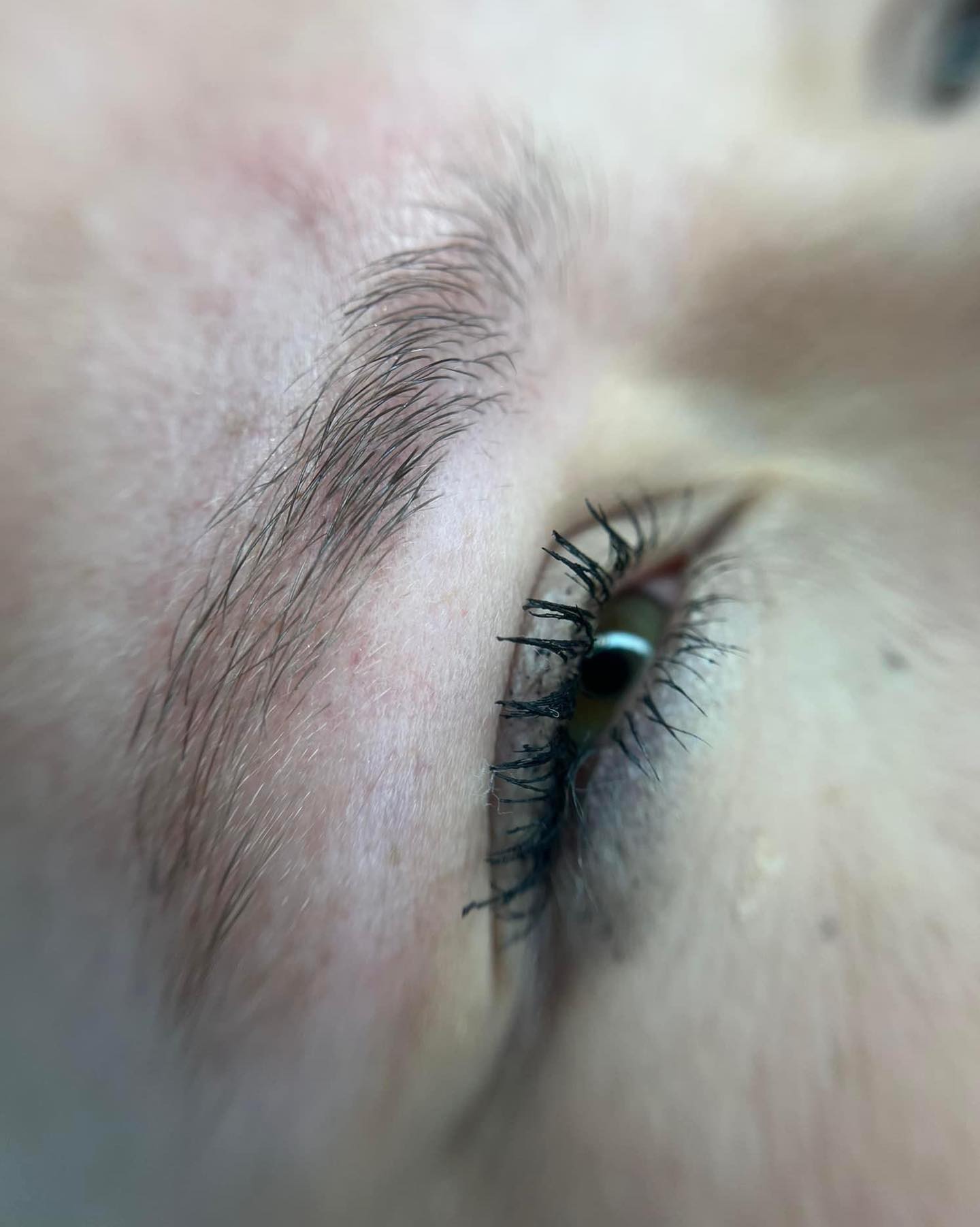 Brows & Lashes image