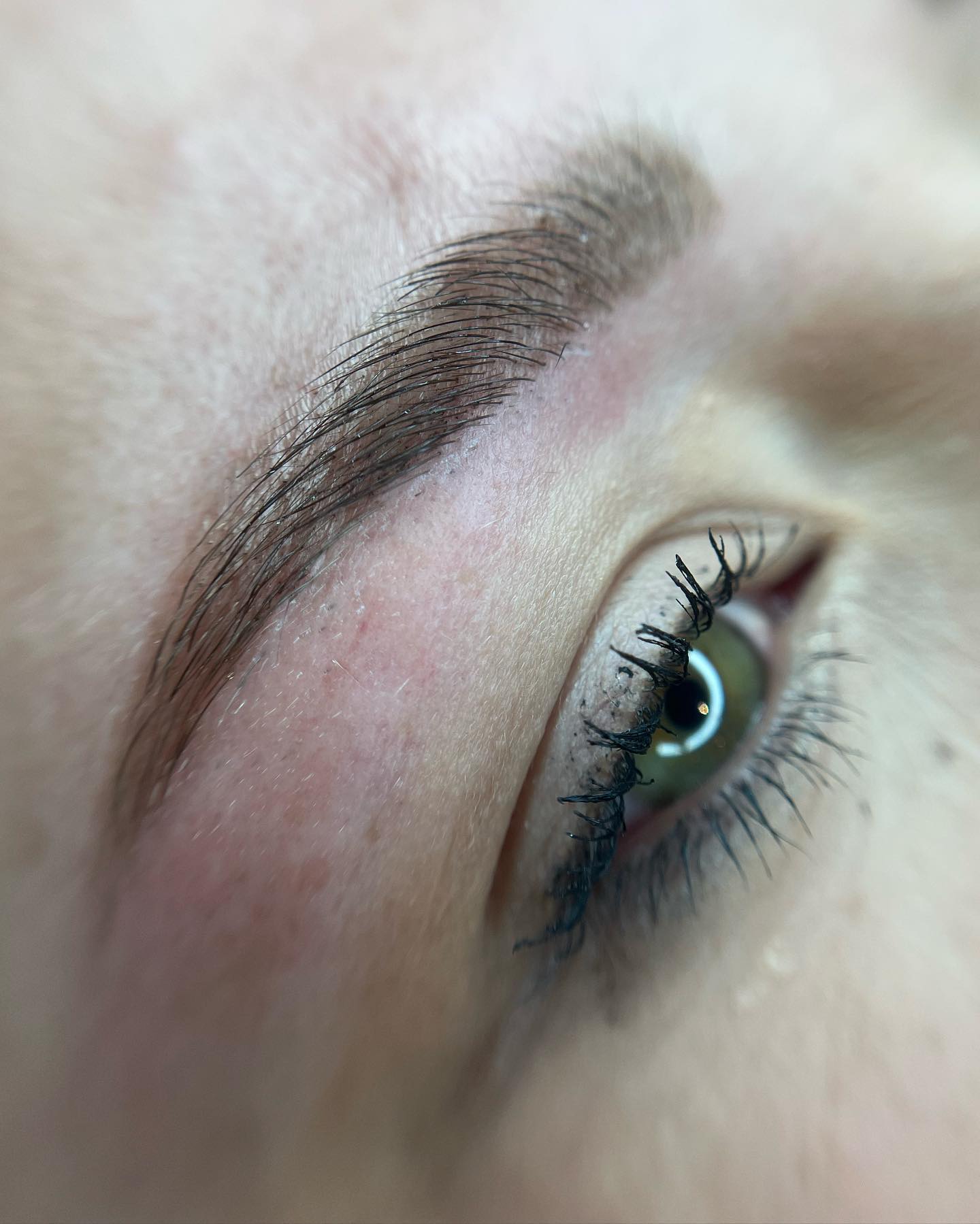 Brows & Lashes image