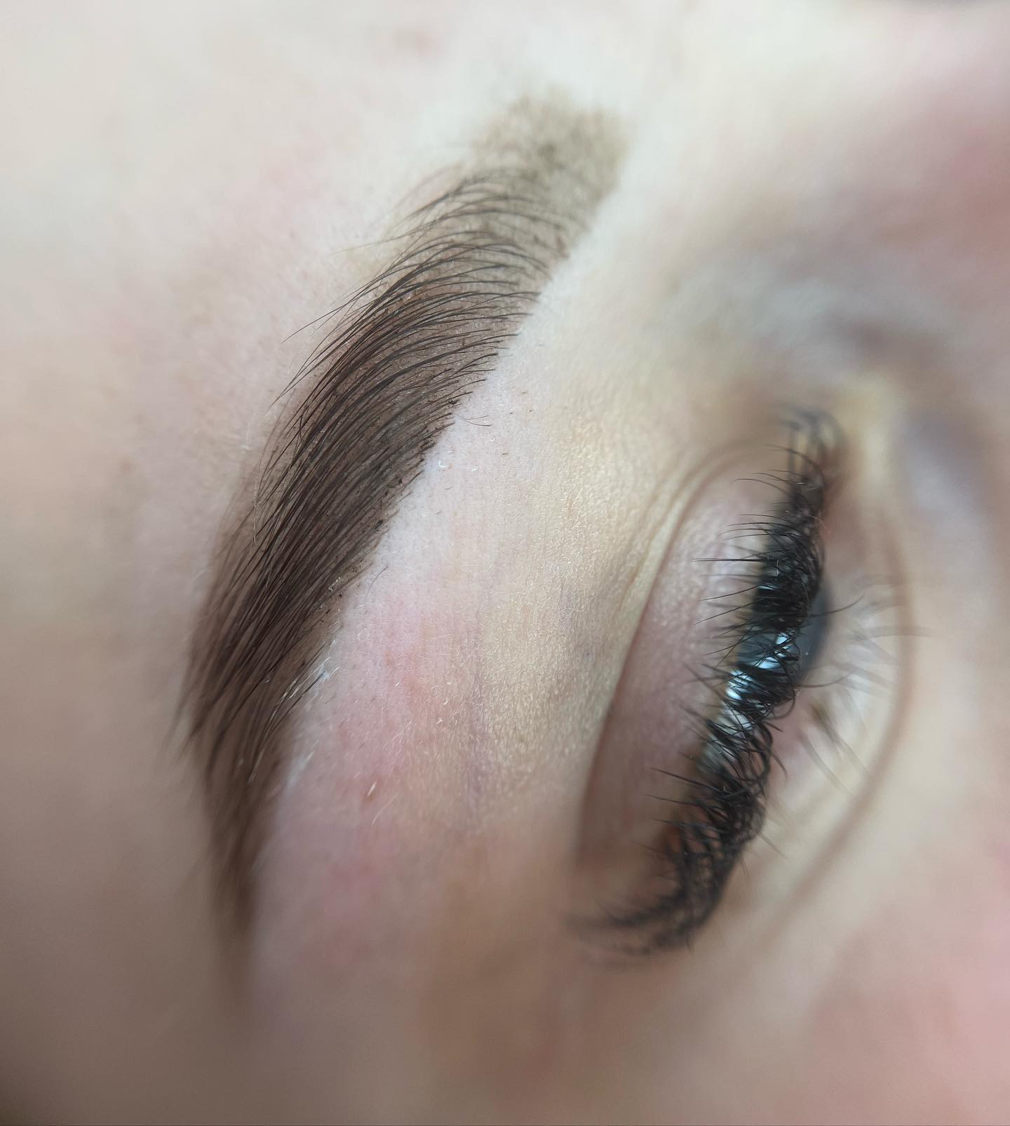 Brows & Lashes image