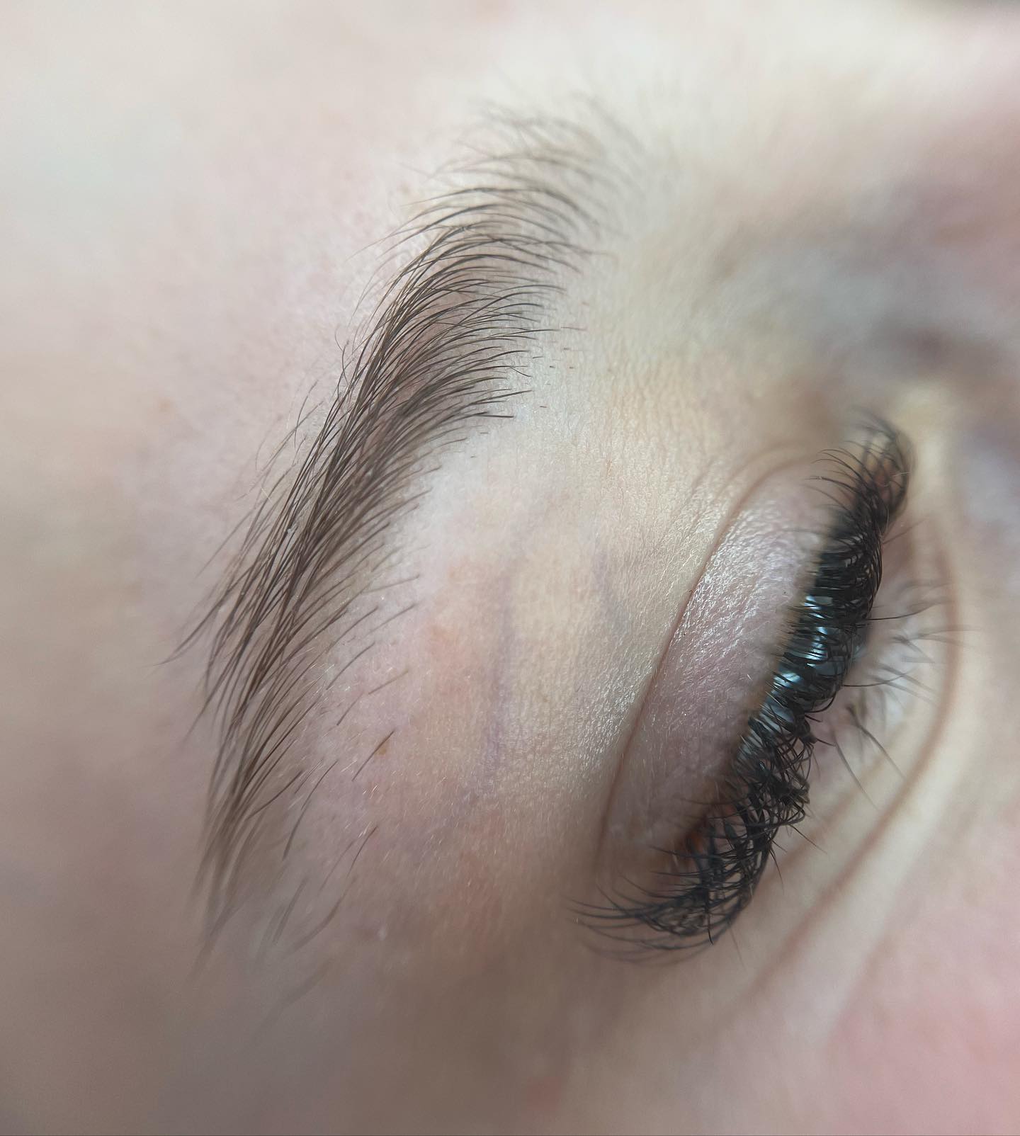 Brows & Lashes image