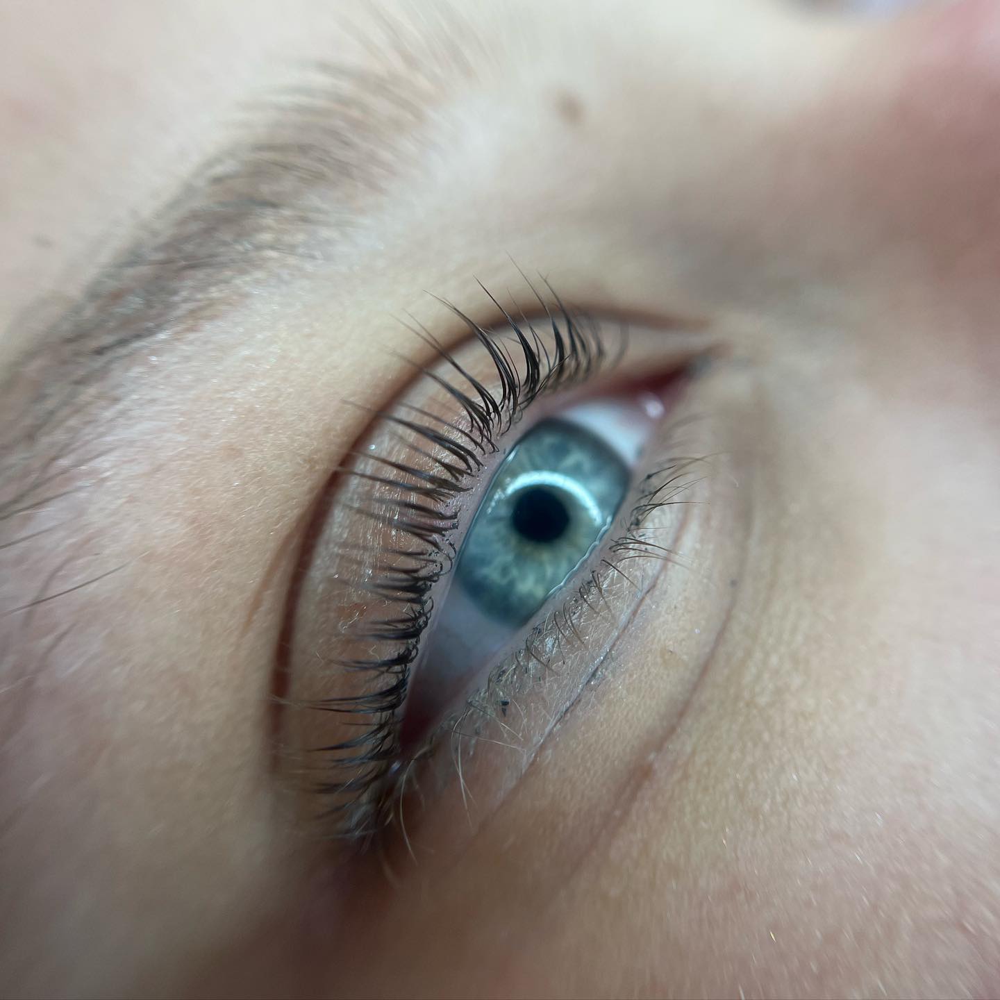 Brows & Lashes image