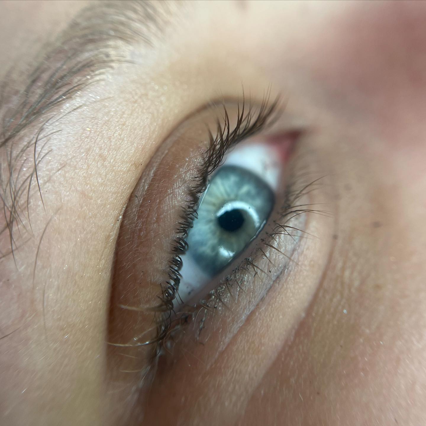 Brows & Lashes image