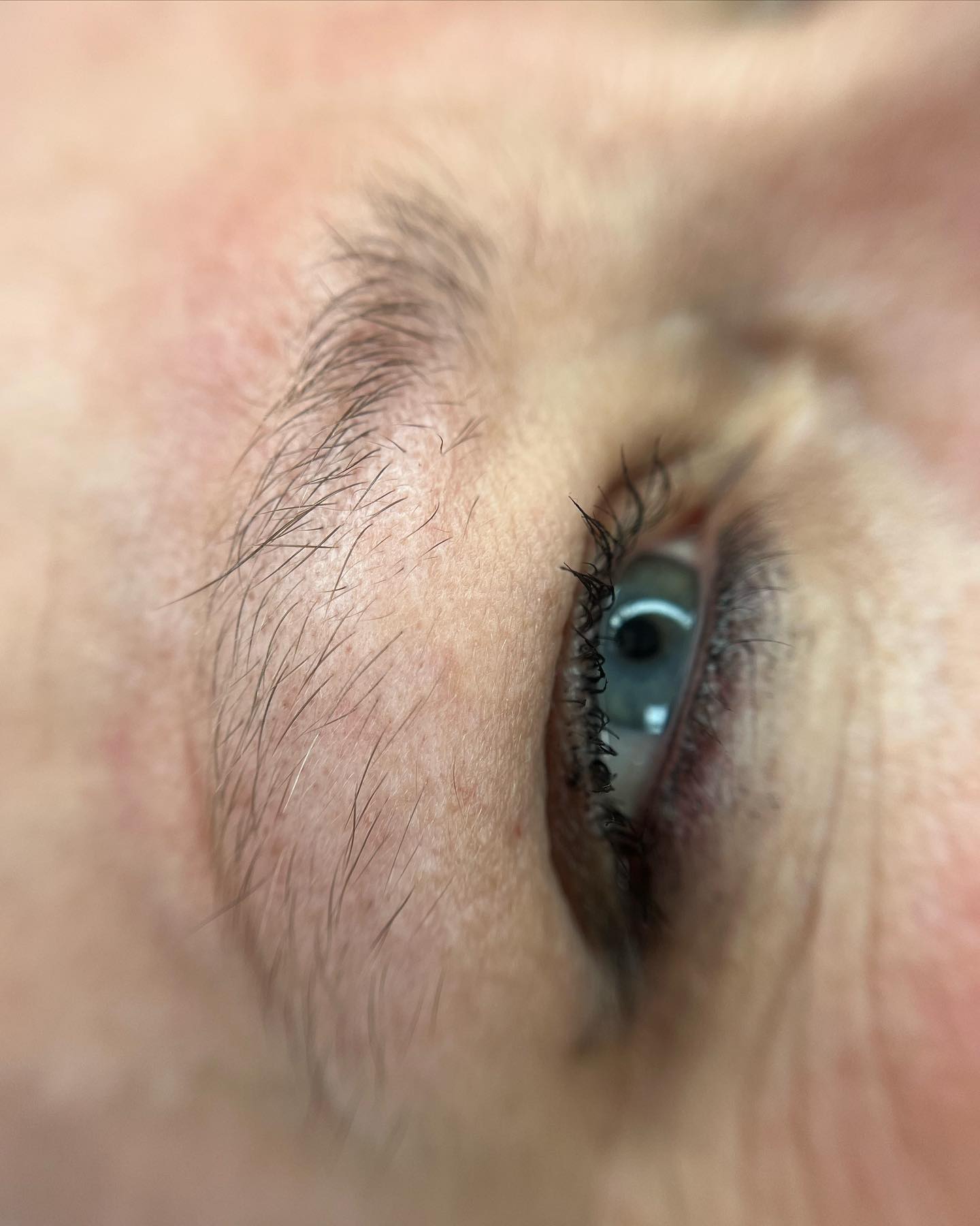 Brows & Lashes image