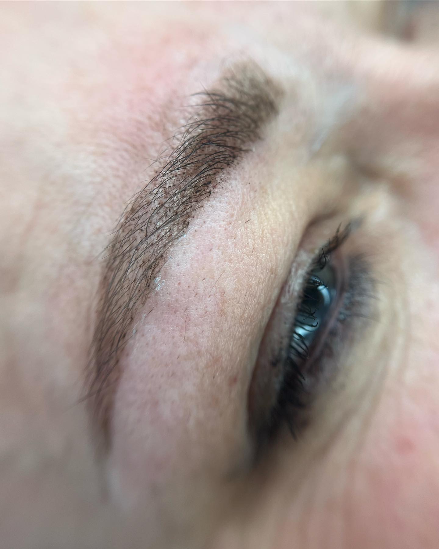 Brows & Lashes image