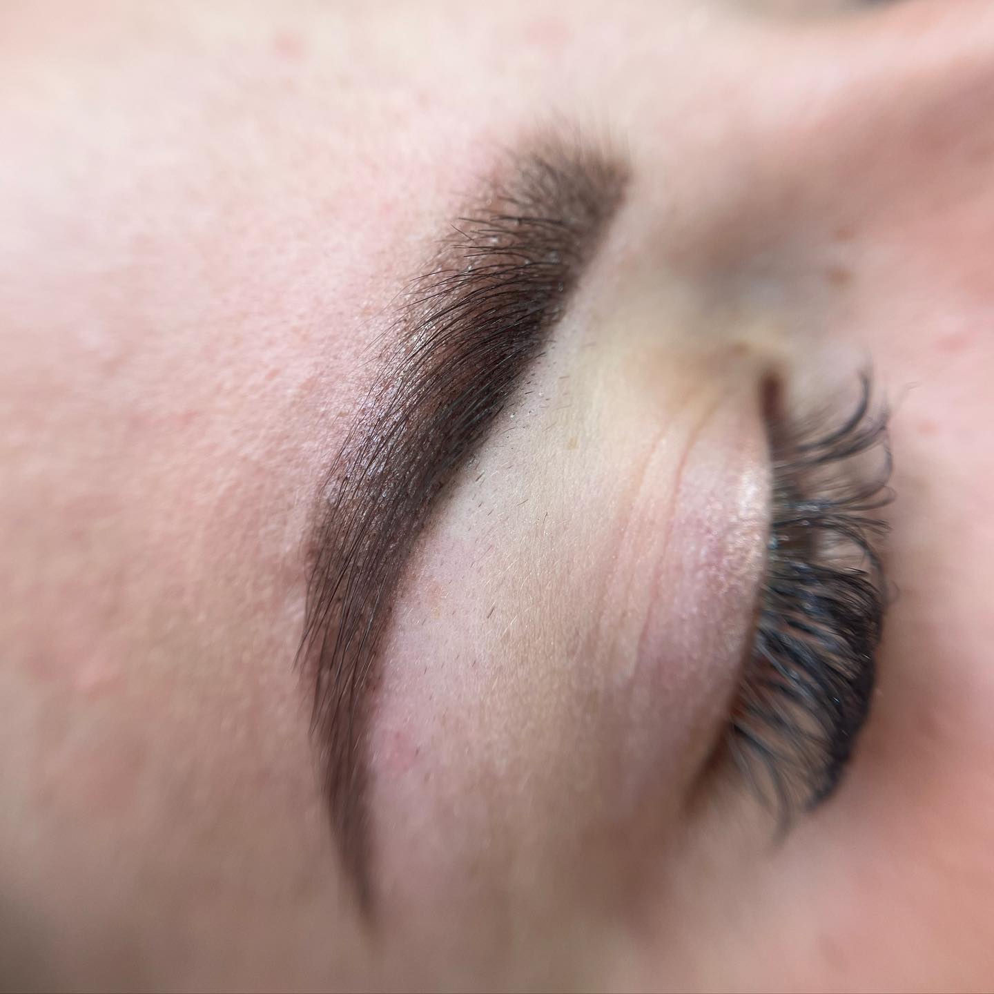 Brows & Lashes image