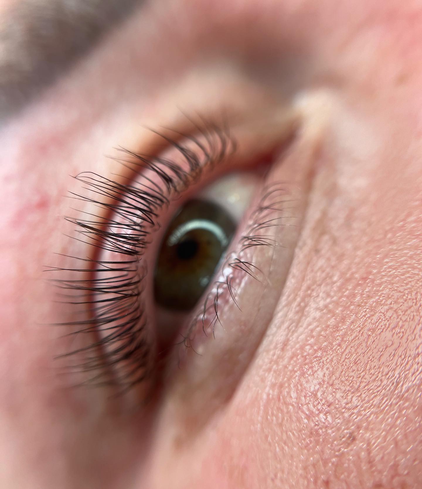 Brows & Lashes image