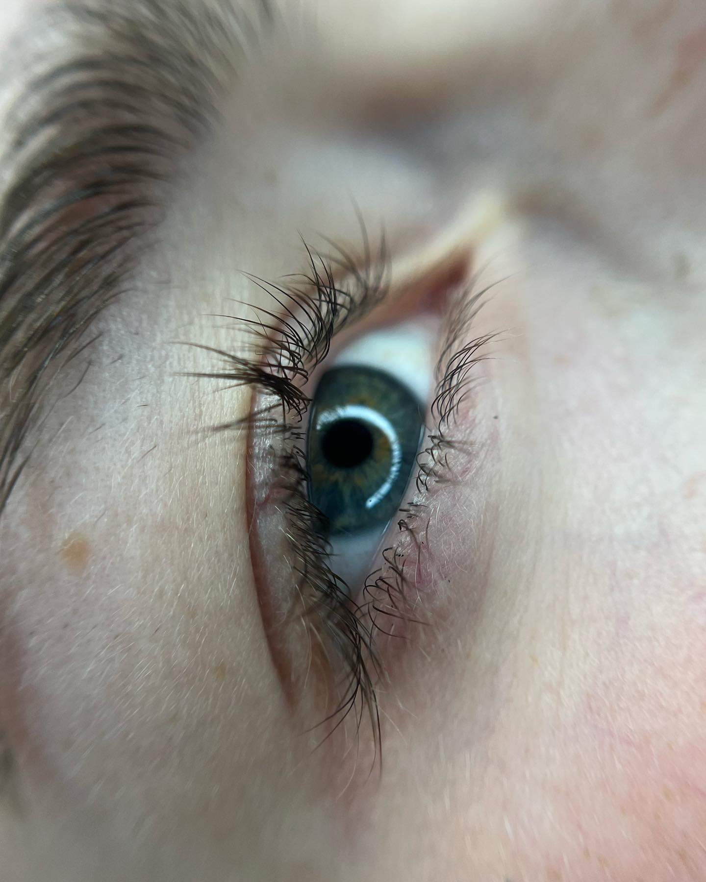 Brows & Lashes image