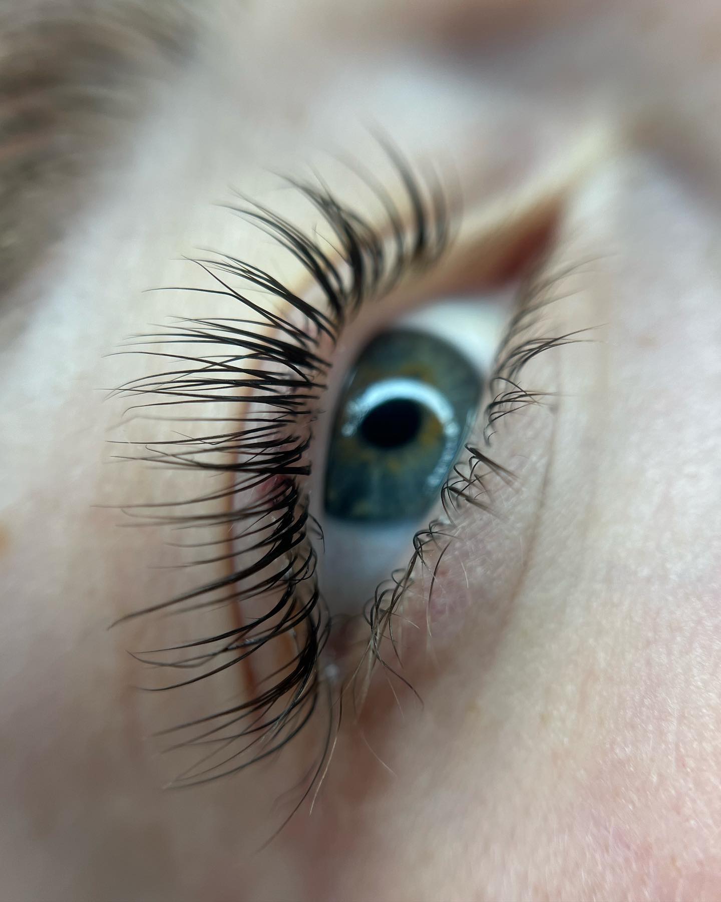 Brows & Lashes image