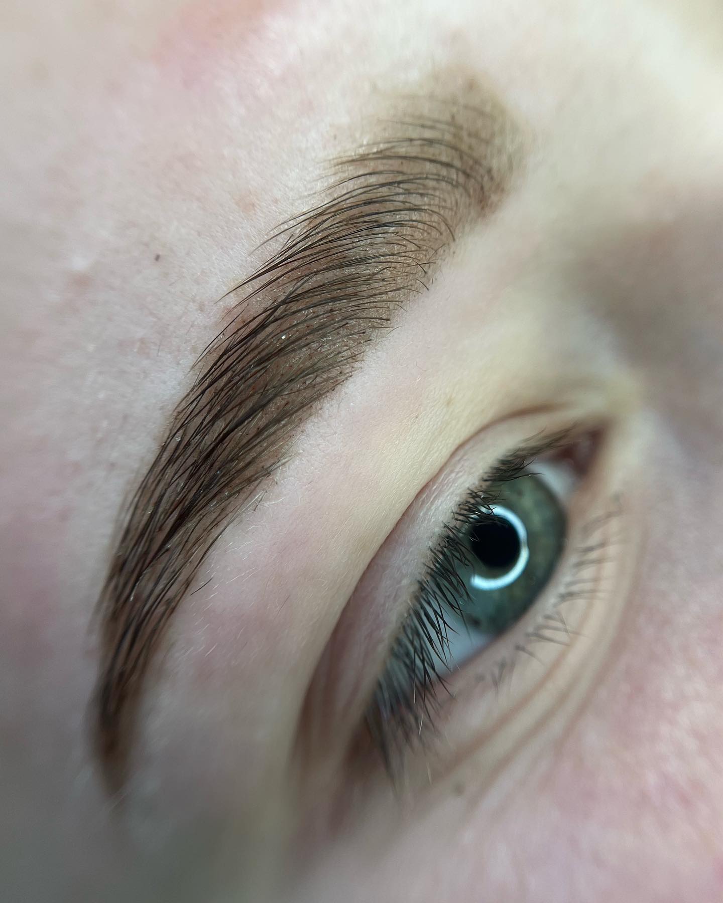 Brows & Lashes image