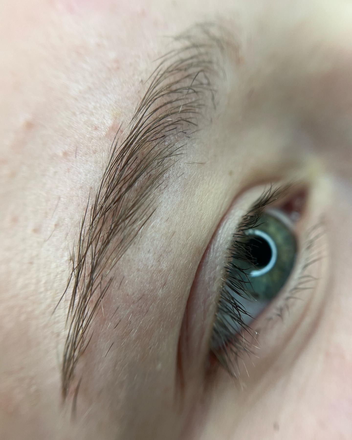 Brows & Lashes image