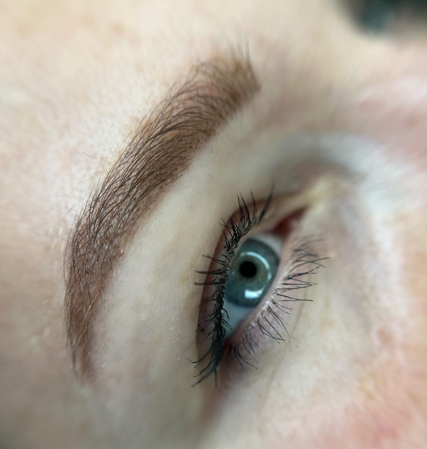 Brows & Lashes image