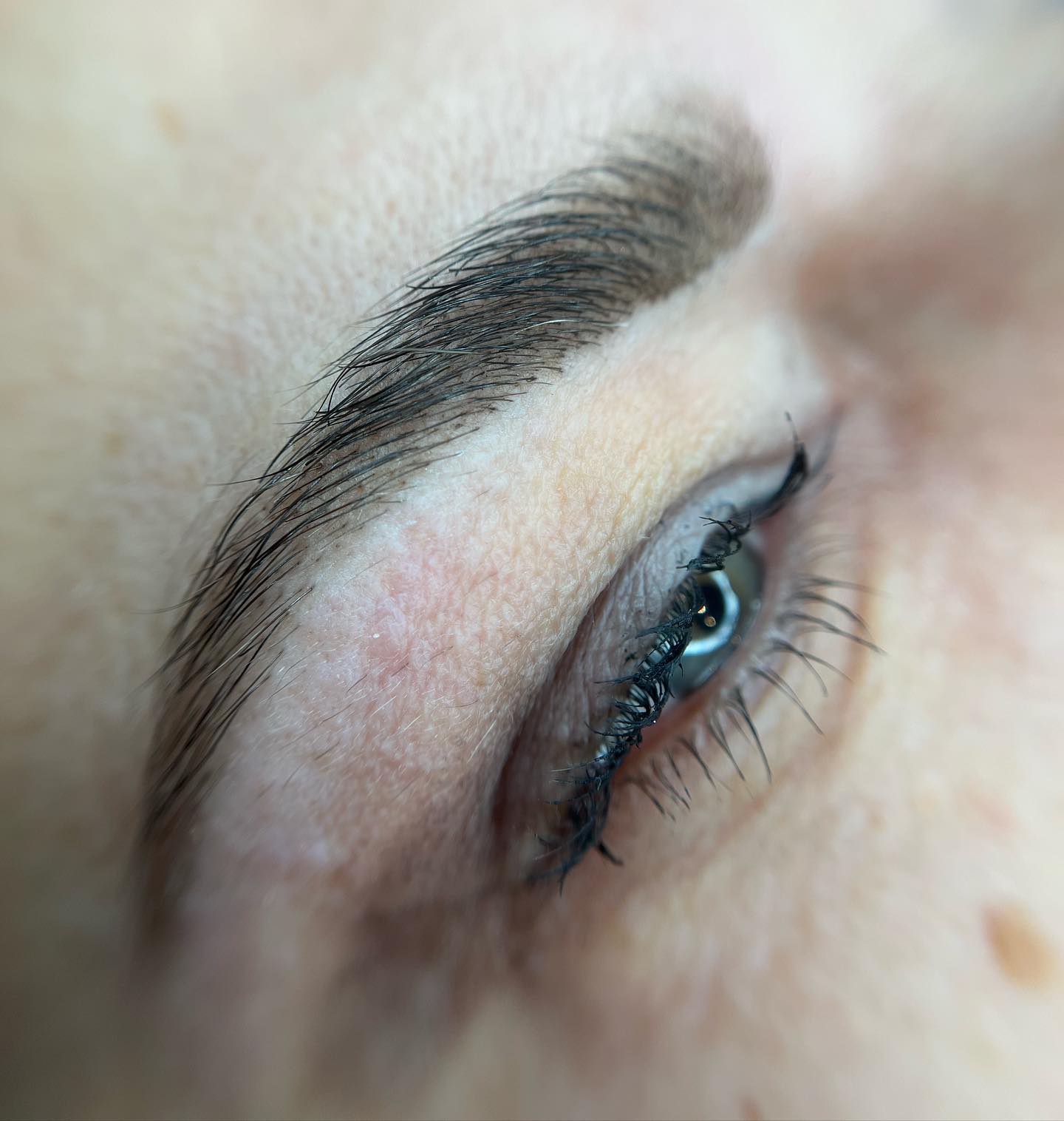 Brows & Lashes image