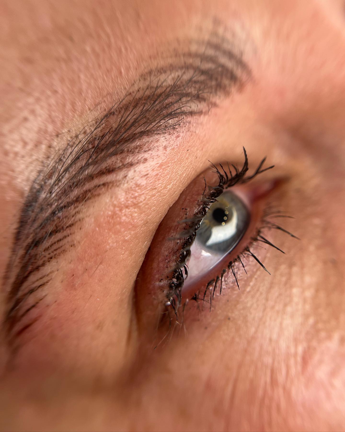 Brows & Lashes image