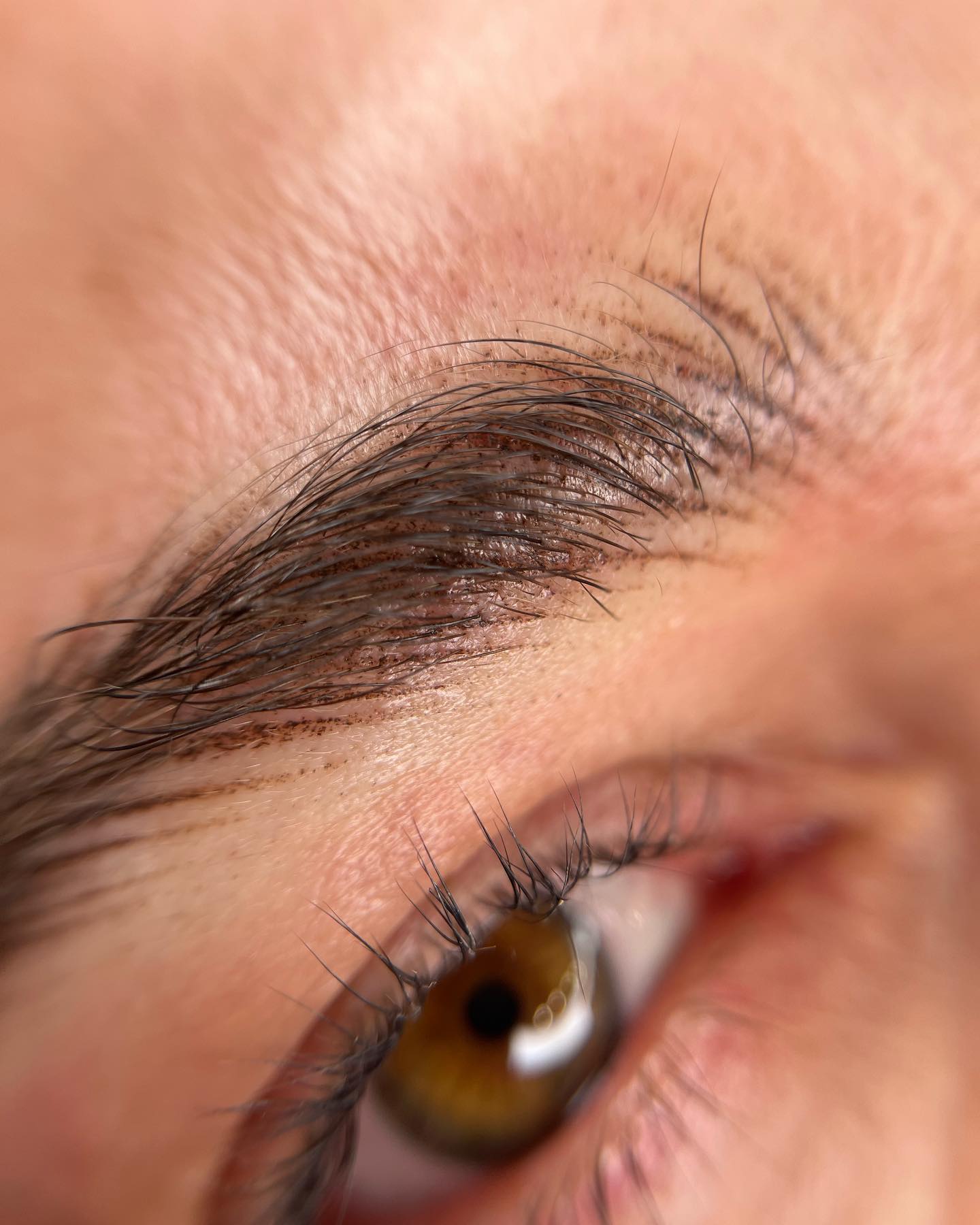 Brows & Lashes image