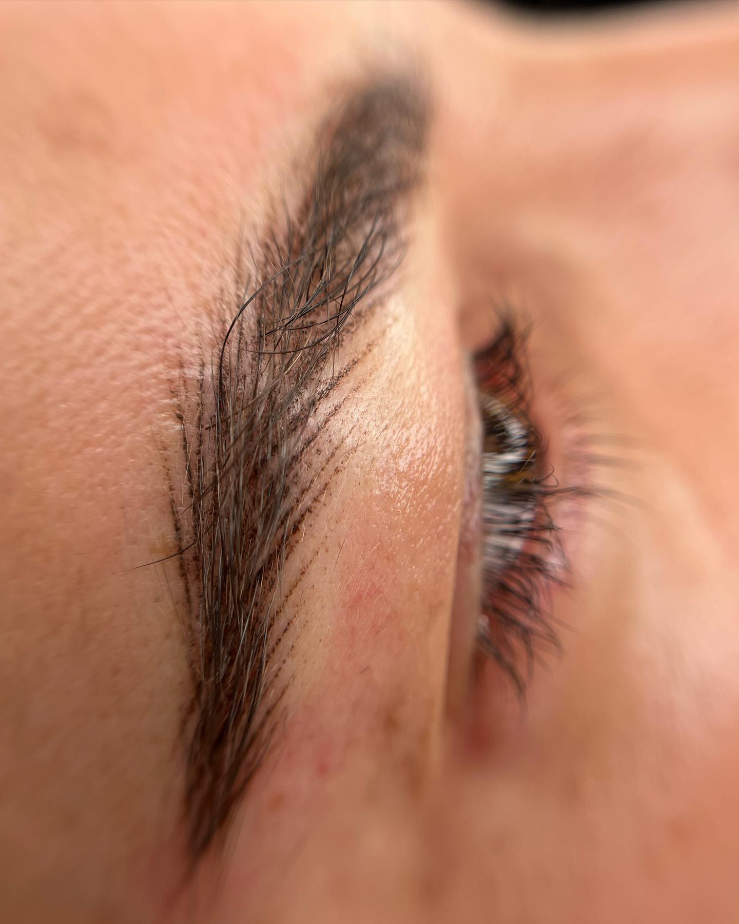 Brows & Lashes image