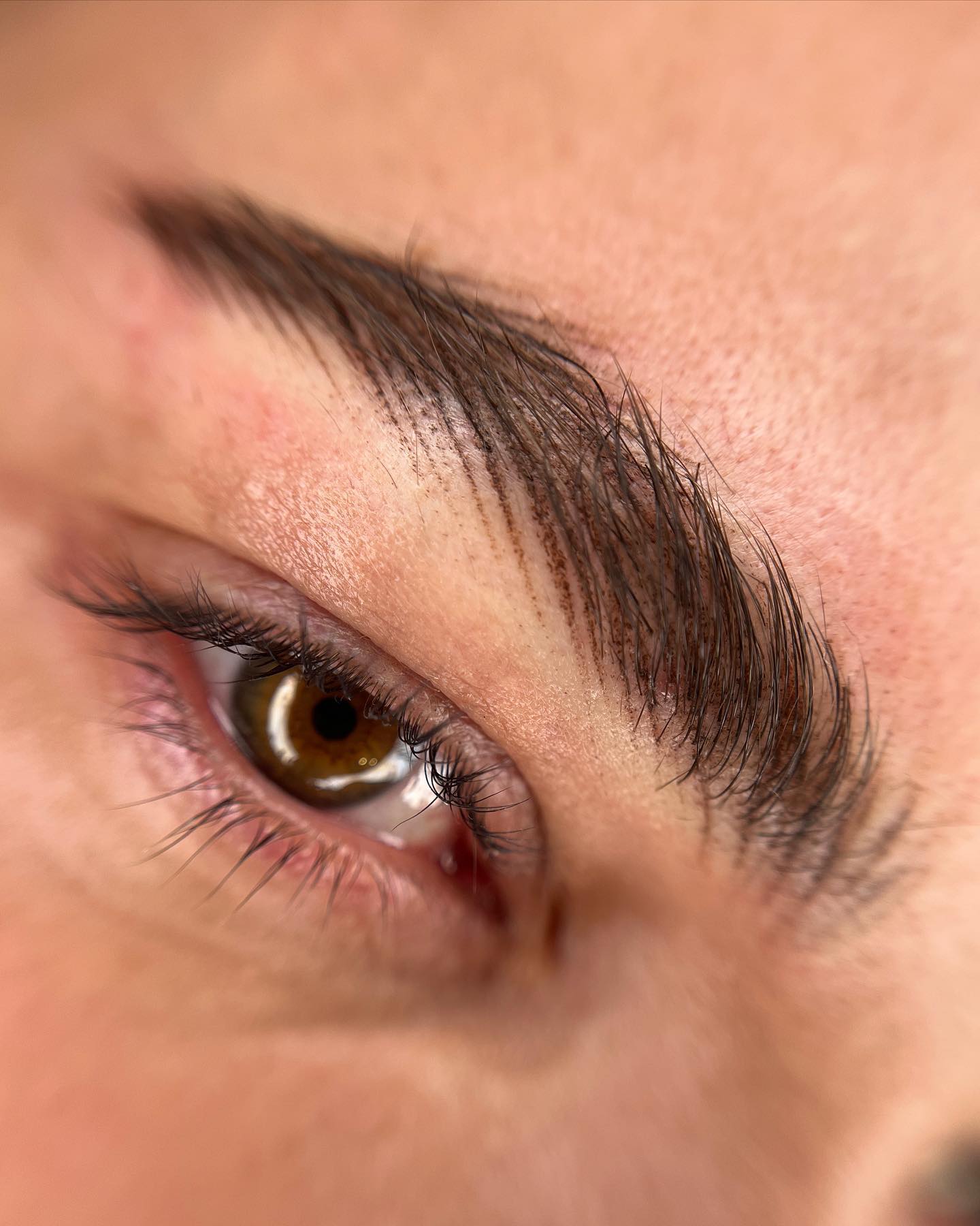 Brows & Lashes image