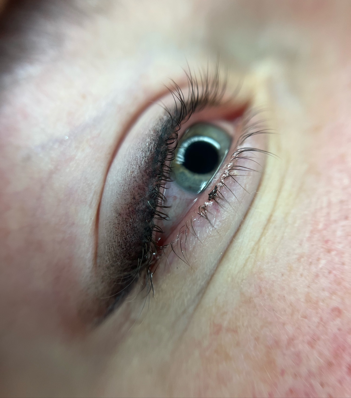 Brows & Lashes image