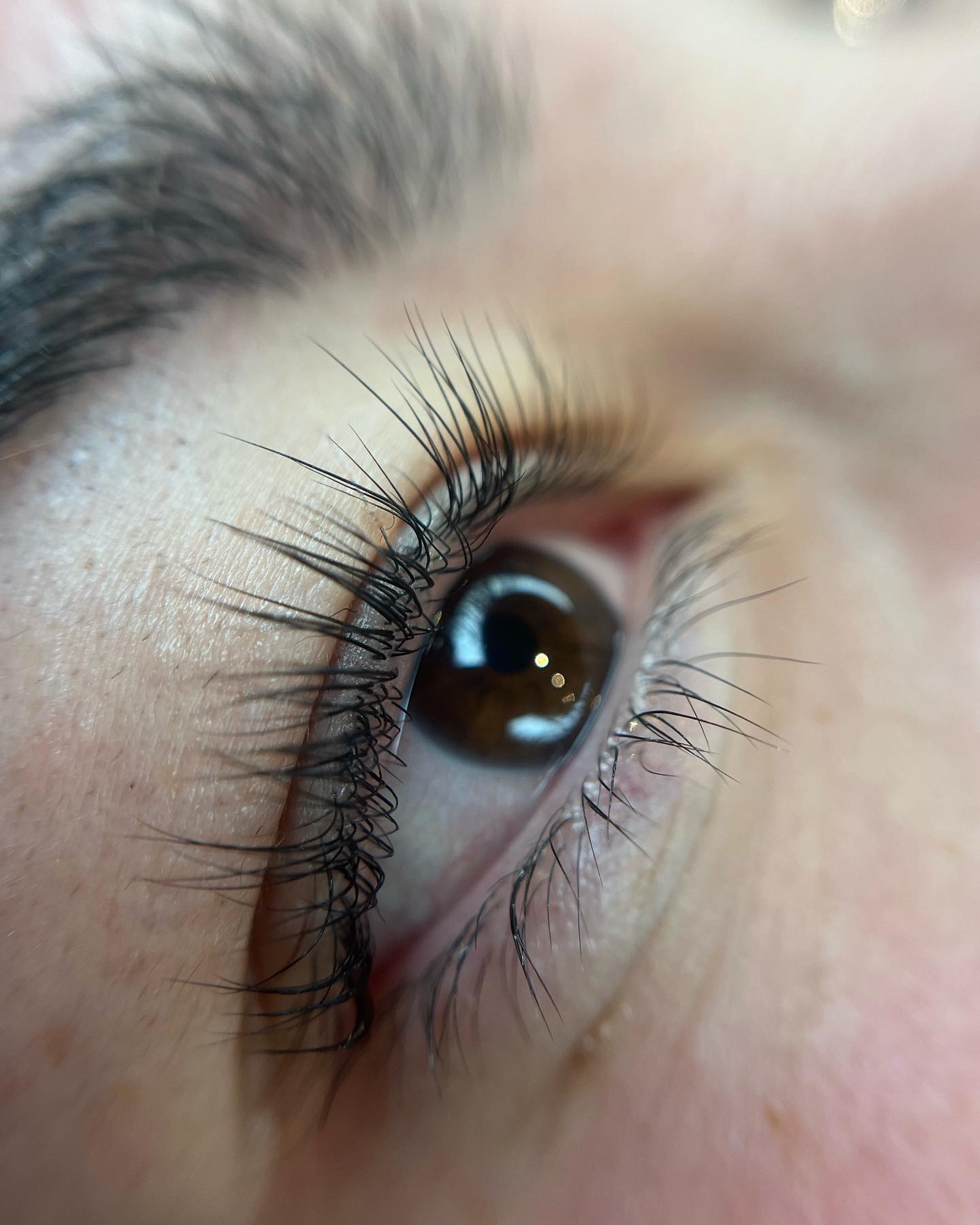 Brows & Lashes image