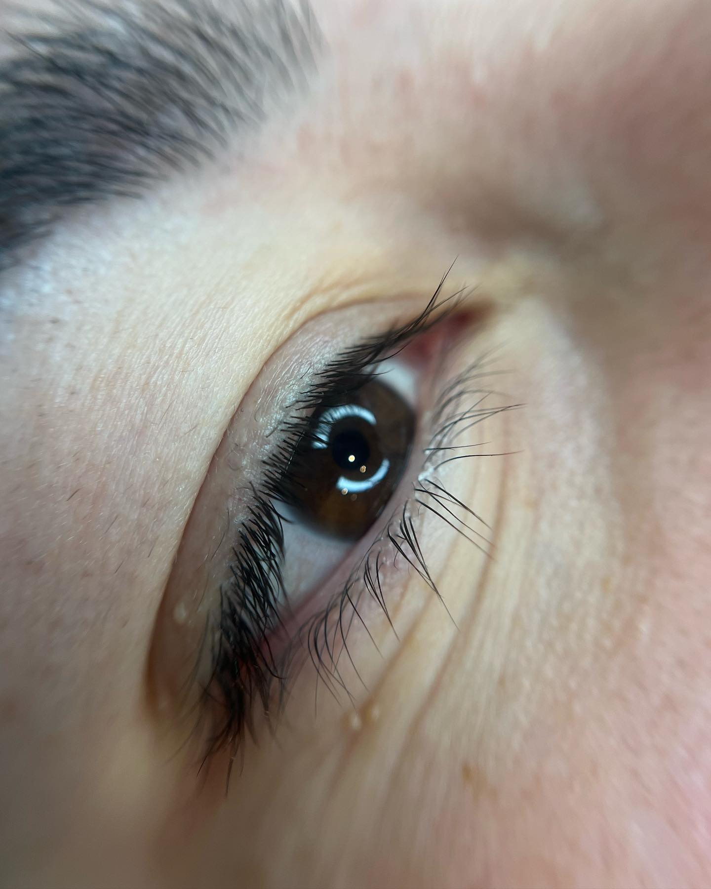 Brows & Lashes image