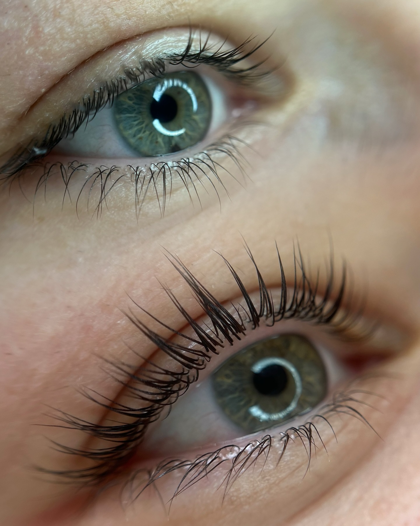 Brows & Lashes image